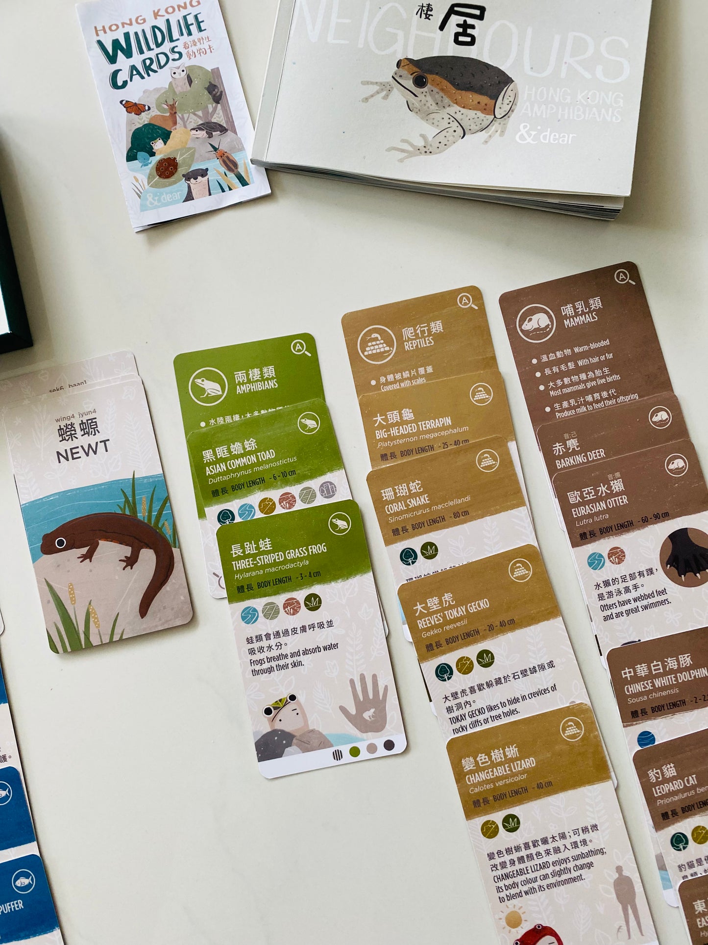 香港野生動物卡 Hong Kong Wildlife Cards(中英對照)