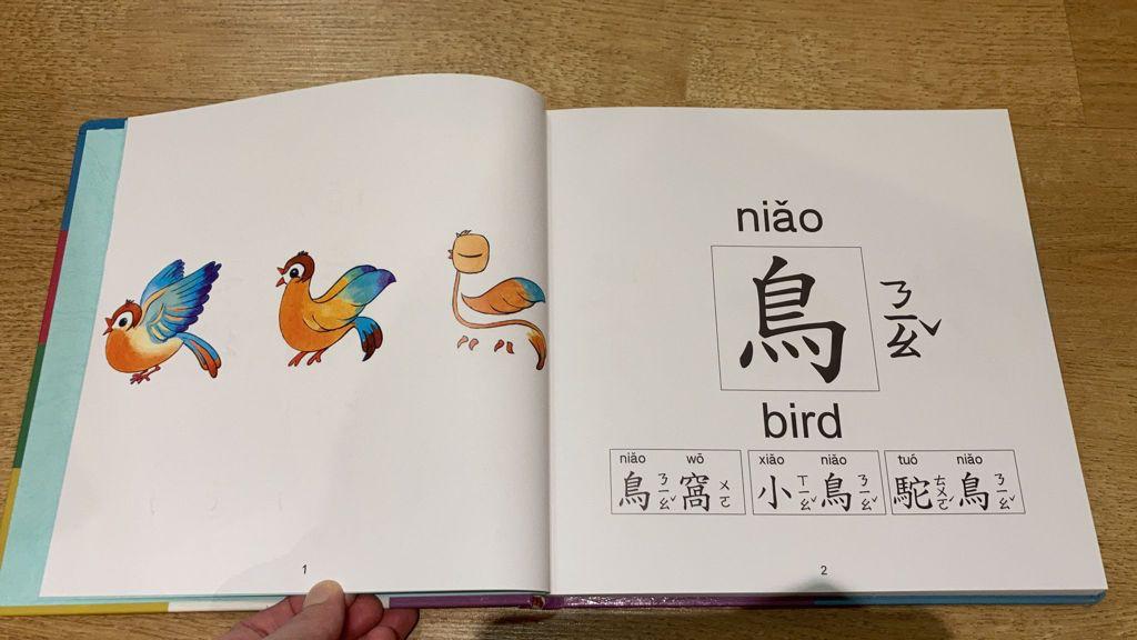 有趣的文字(字卡+字袋+套書)