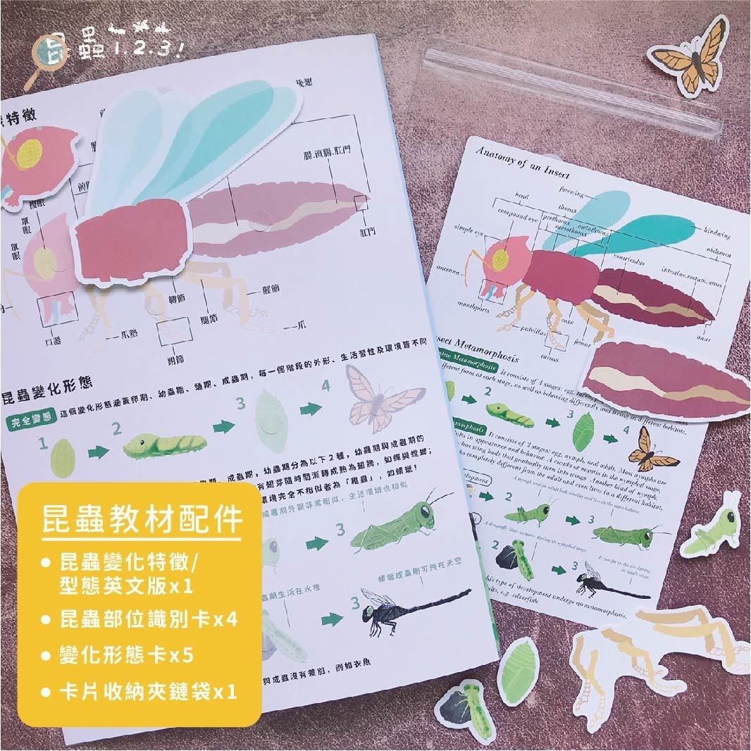昆蟲123! 好玩雙語主題教材配件 (香港版)
