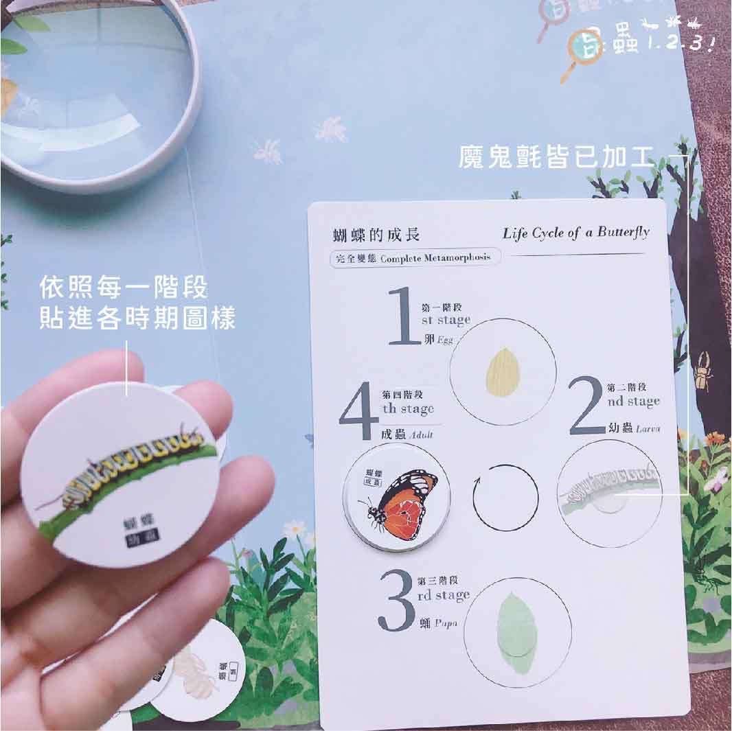 昆蟲123! 好玩雙語主題教材配件 (香港版)