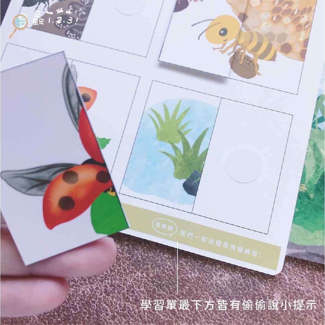 昆蟲123! 好玩雙語主題教材配件 (香港版)