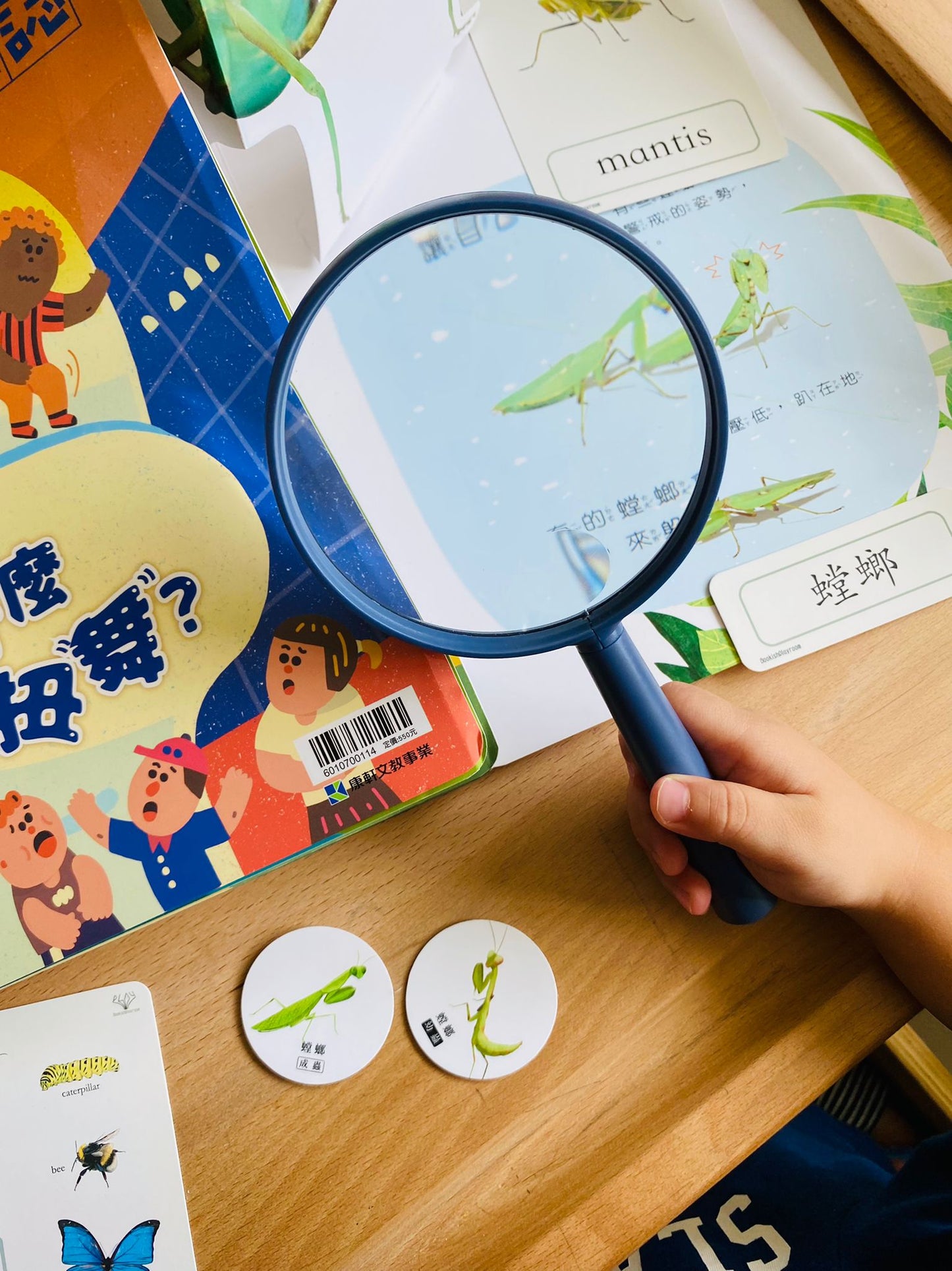 昆蟲123! 好玩雙語主題教材配件 (香港版)