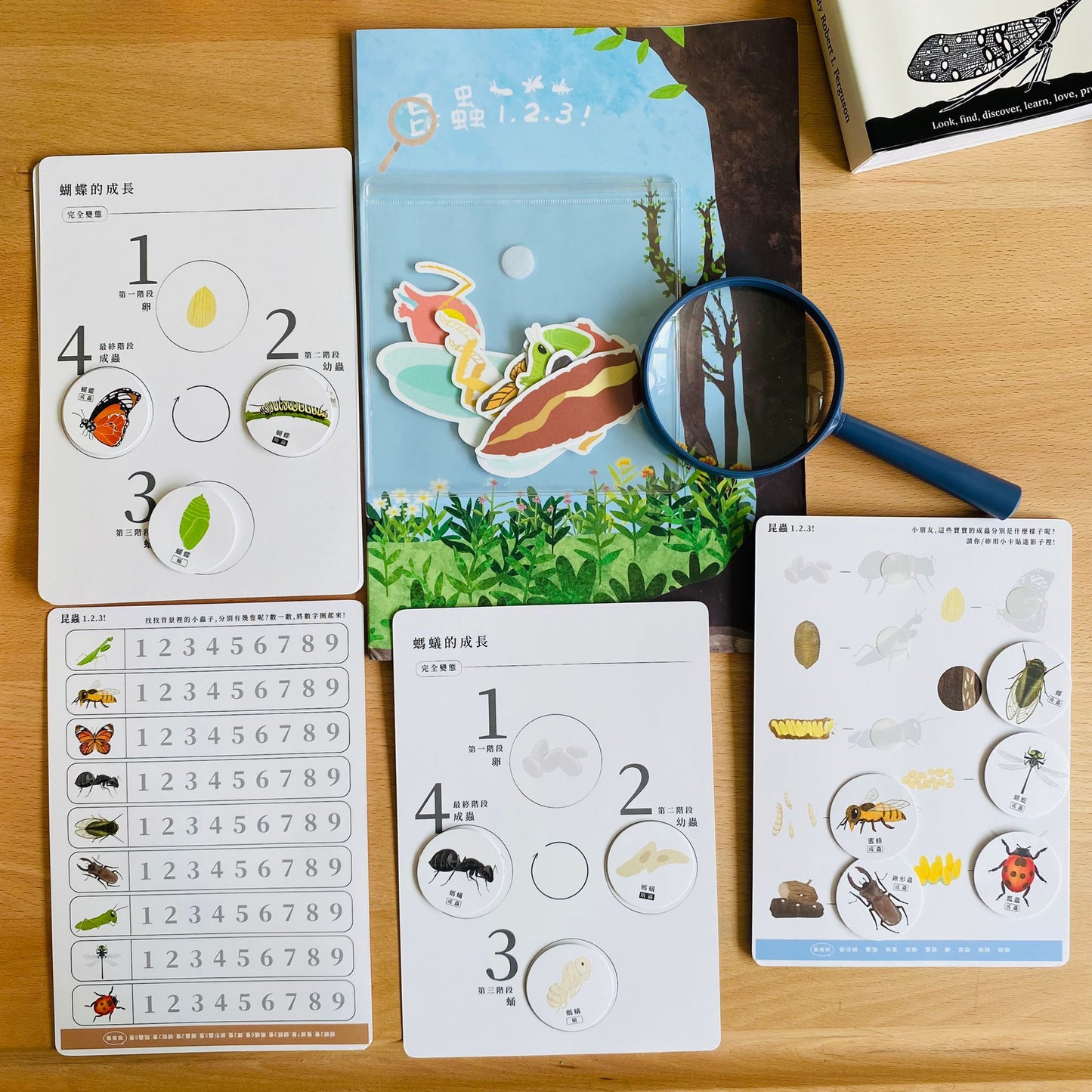昆蟲123! 好玩雙語主題教材配件 (香港版)