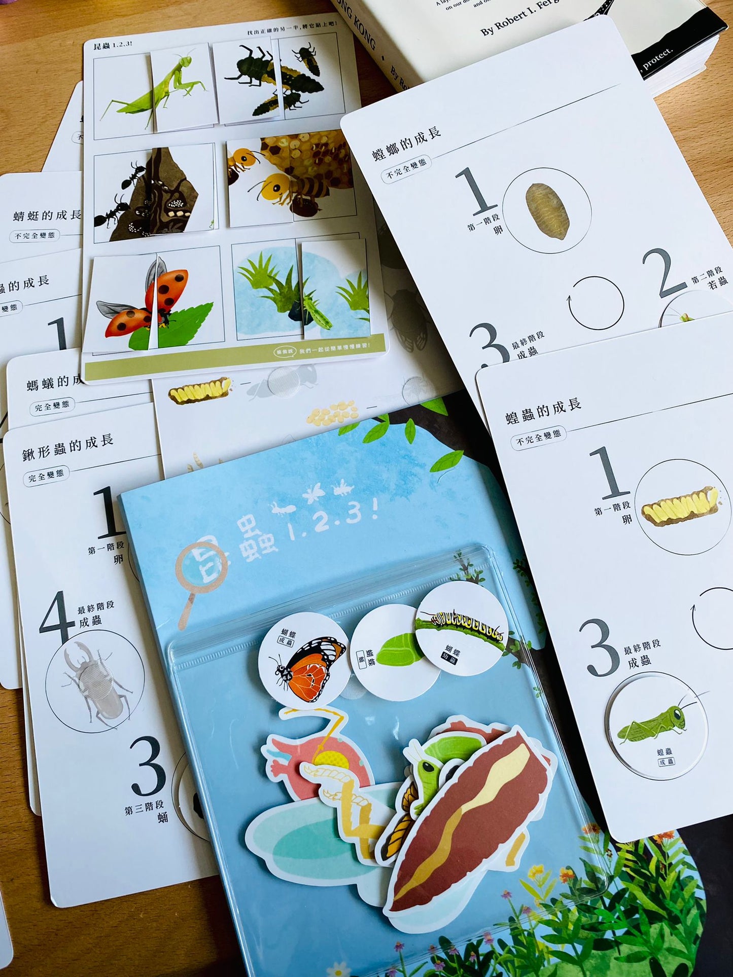 昆蟲123! 好玩雙語主題教材配件 (香港版)