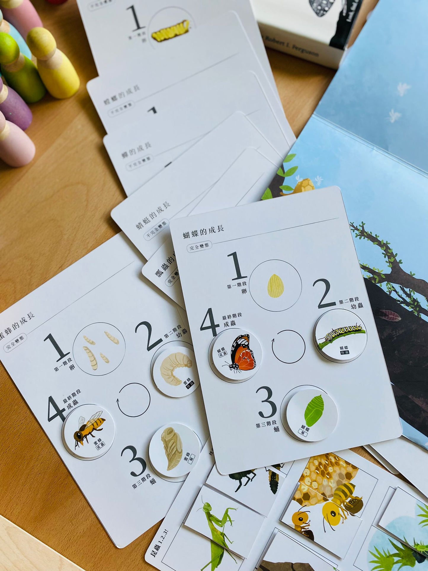 昆蟲123! 好玩雙語主題教材配件 (香港版)