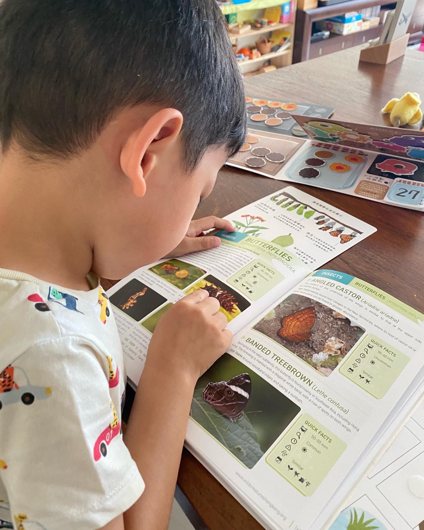 The Bugs of Hong Kong (Book)