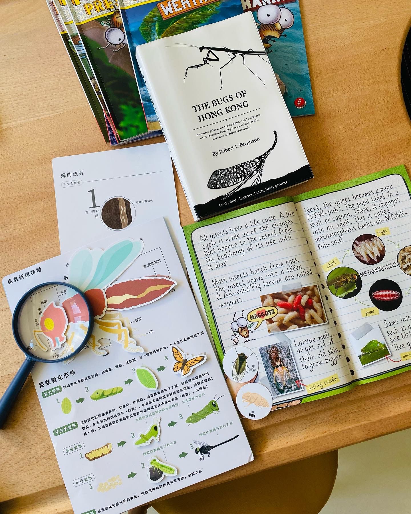 The Bugs of Hong Kong (Book)
