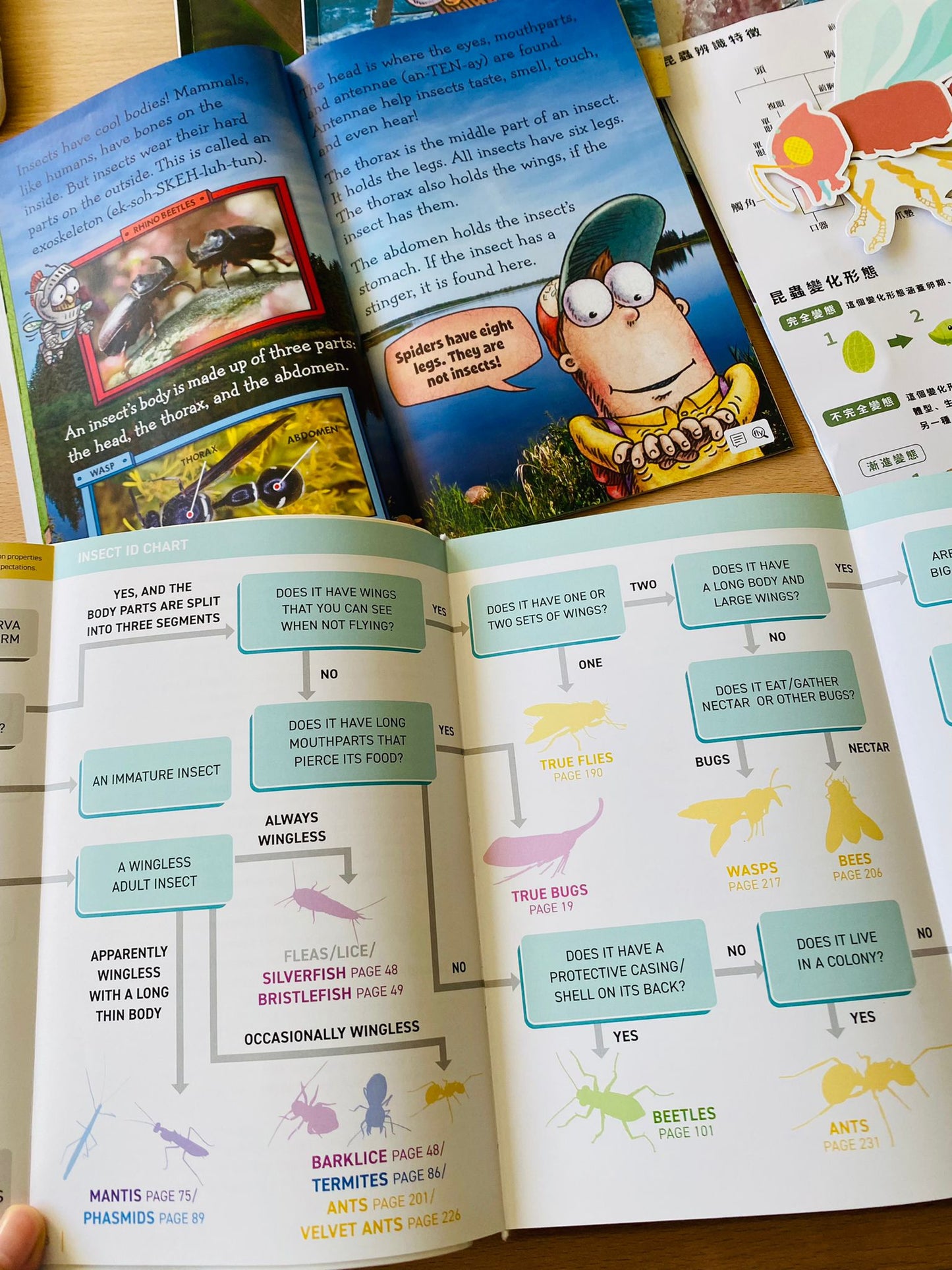 The Bugs of Hong Kong (Book)
