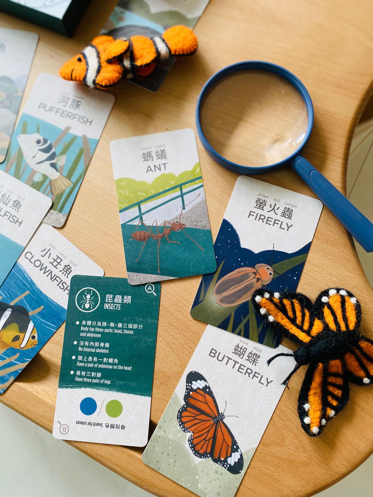香港野生動物卡 Hong Kong Wildlife Cards(中英對照)