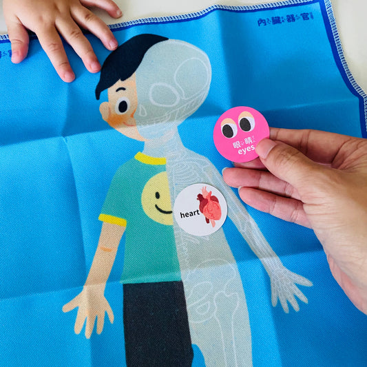 粵來粵好玩延伸遊戲小卡|My First Discoveries 系列|延伸身體器官卡