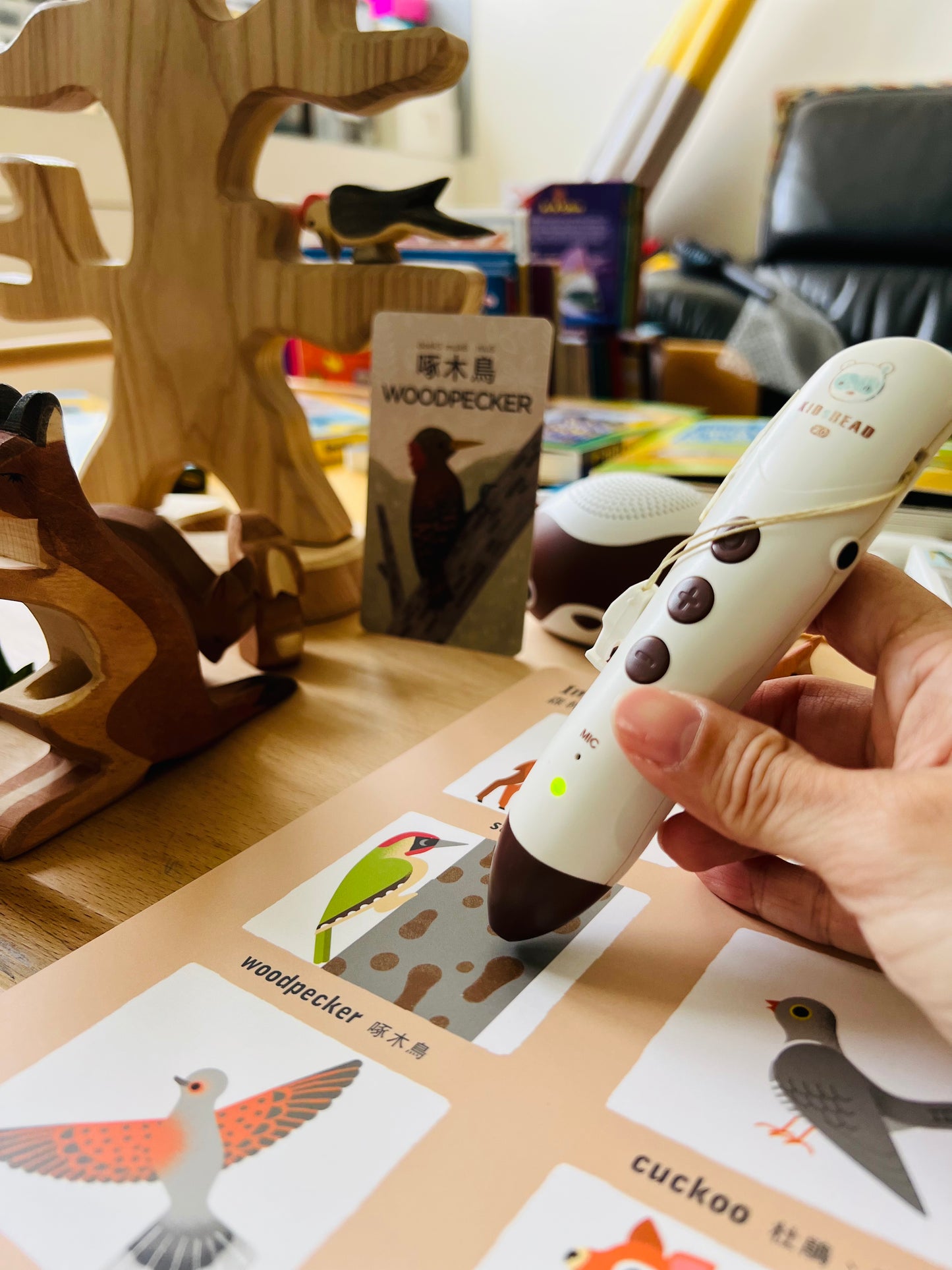 幼兒自然科普啟蒙套組(KIDsREAD 點讀版)更新版