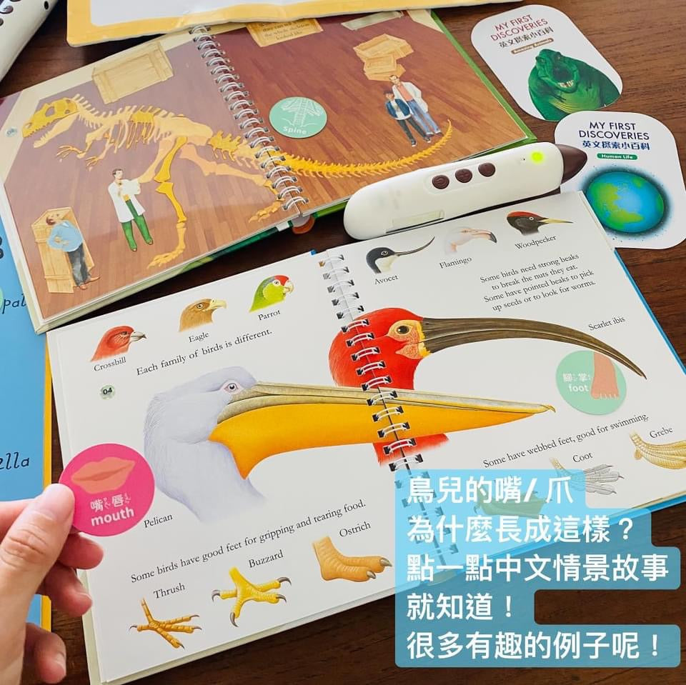 粵來粵好玩延伸遊戲小卡|My First Discoveries 系列|延伸身體器官卡