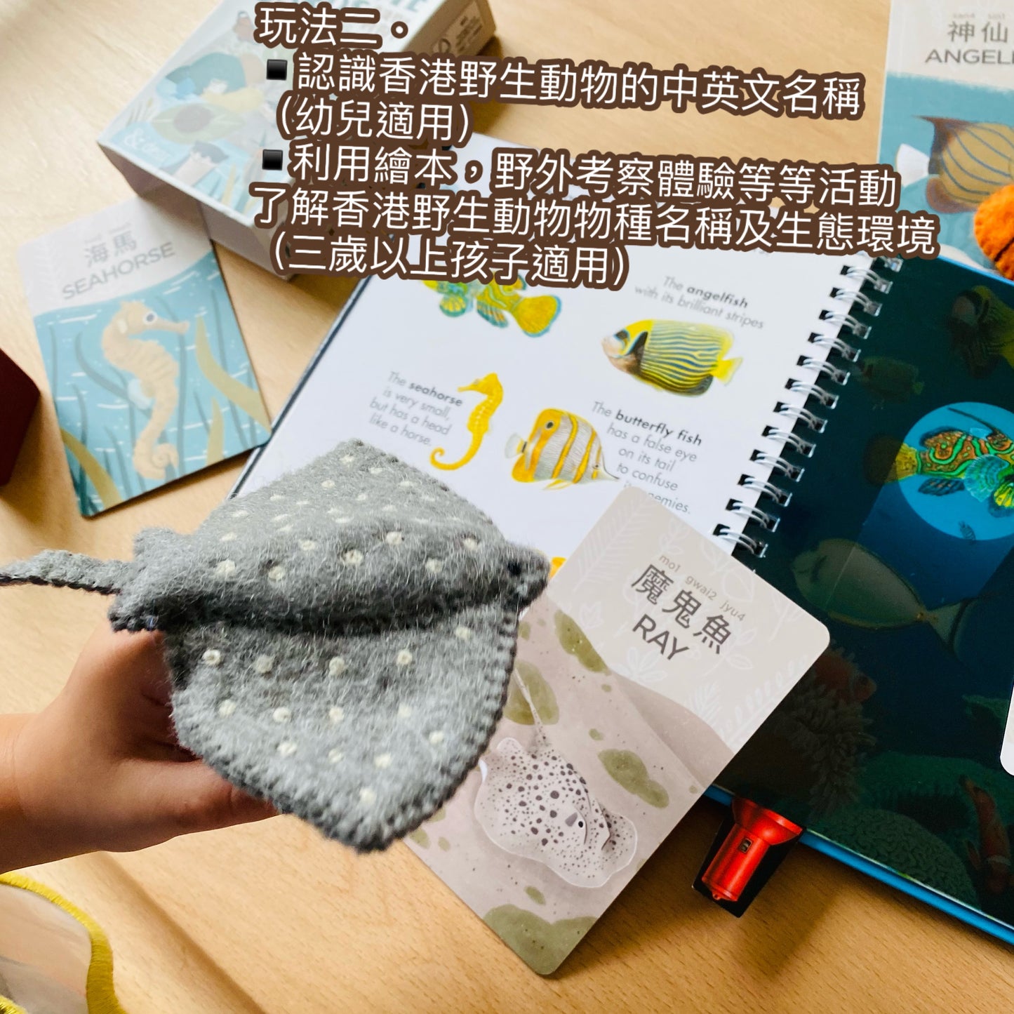 香港野生動物卡 Hong Kong Wildlife Cards(中英對照)