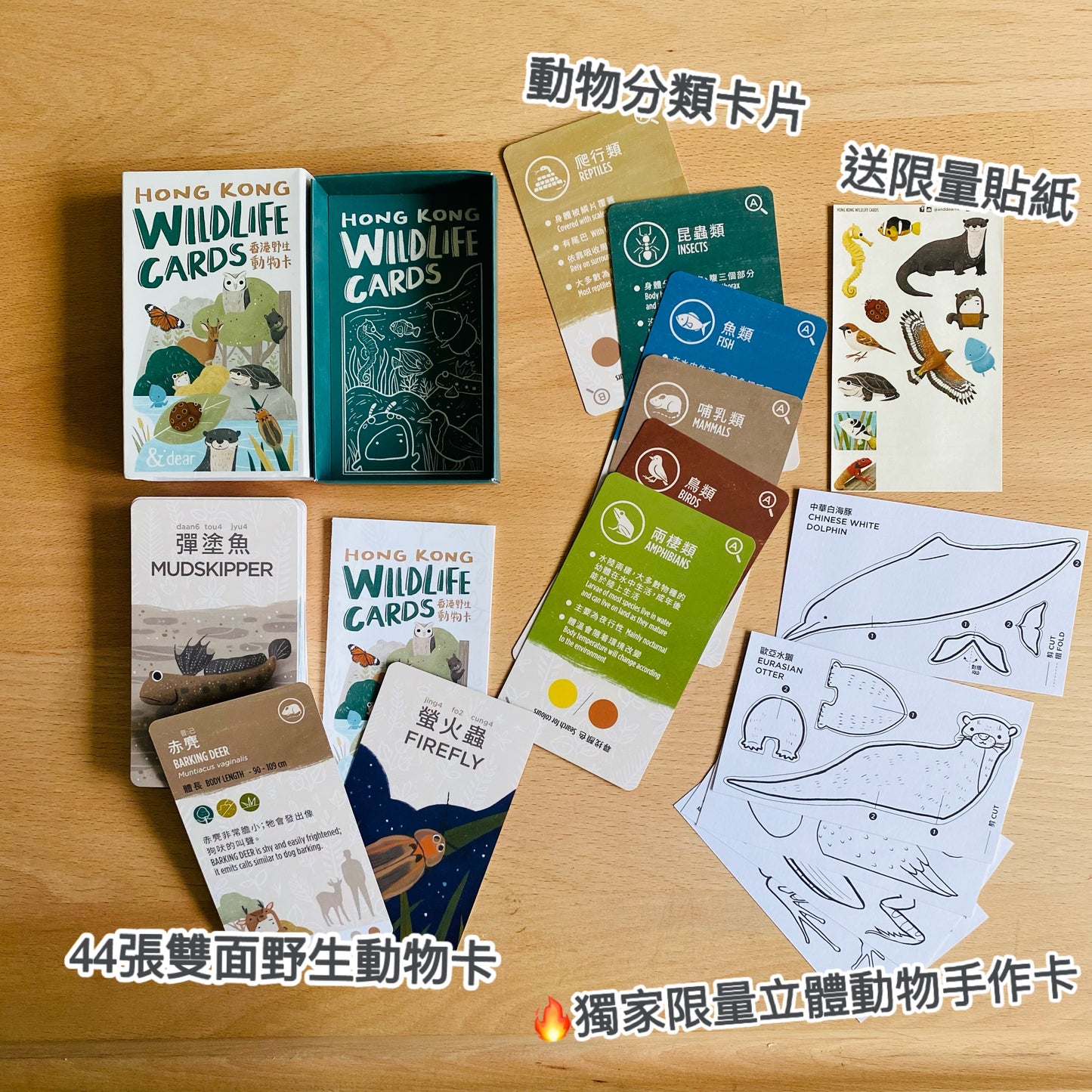 香港野生動物卡 Hong Kong Wildlife Cards(中英對照)
