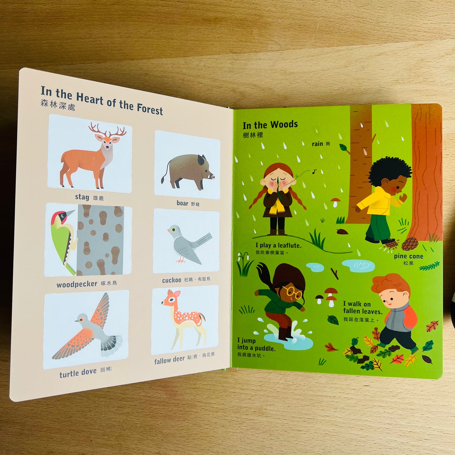 幼兒自然科普啟蒙套組(KIDsREAD 點讀版)更新版