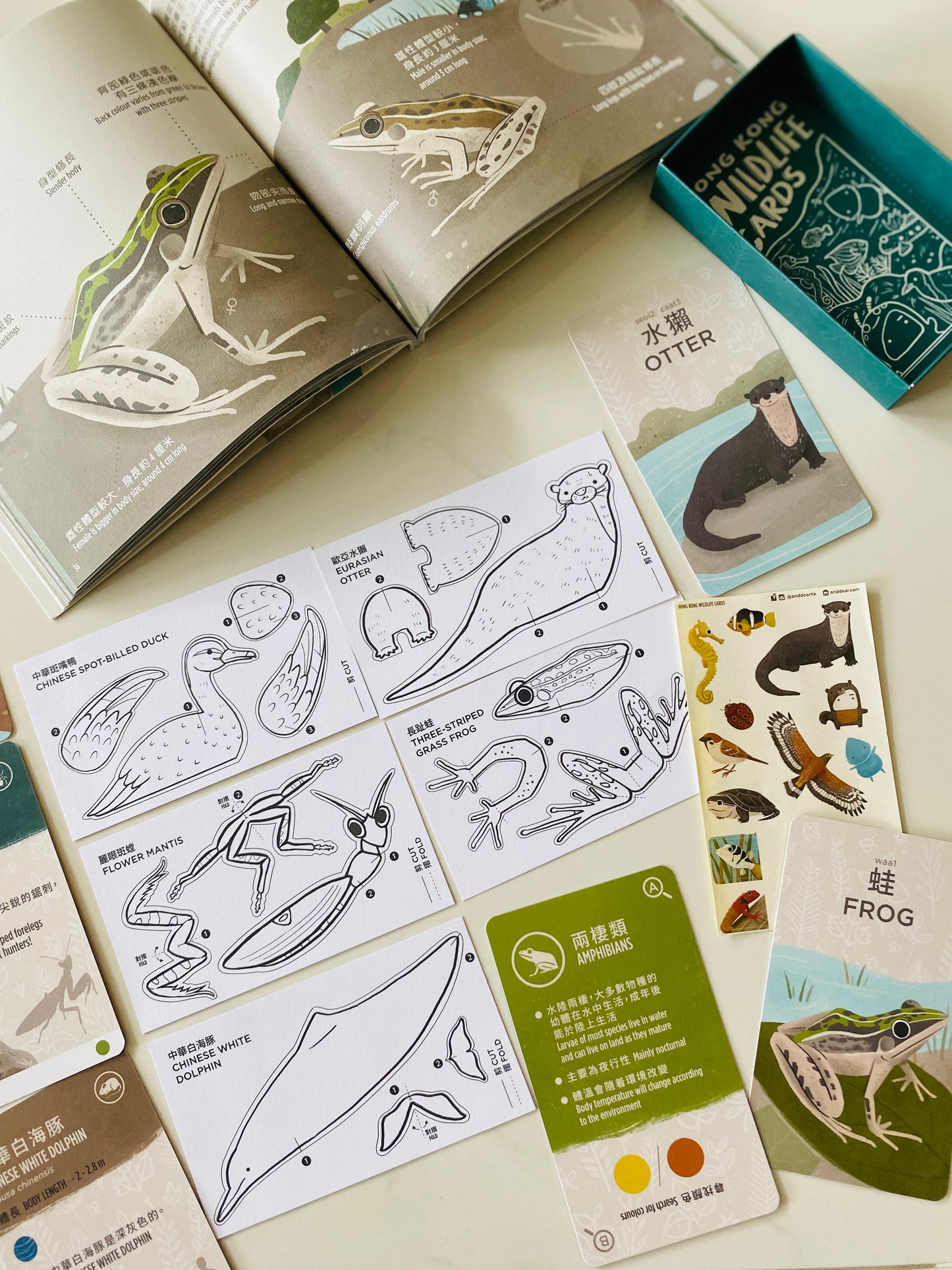 香港野生動物卡 Hong Kong Wildlife Cards(中英對照)