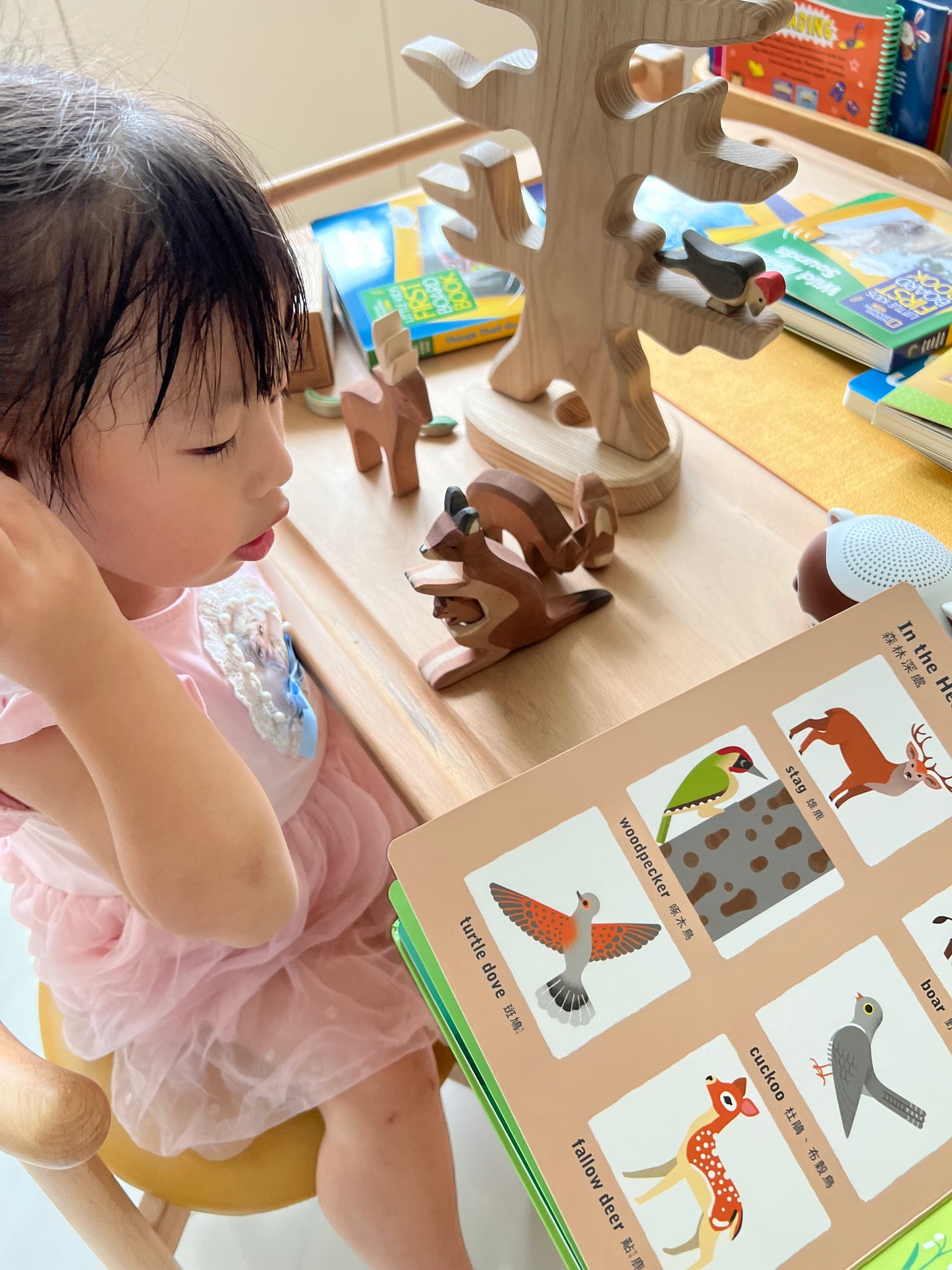 幼兒自然科普啟蒙套組(KIDsREAD 點讀版)更新版