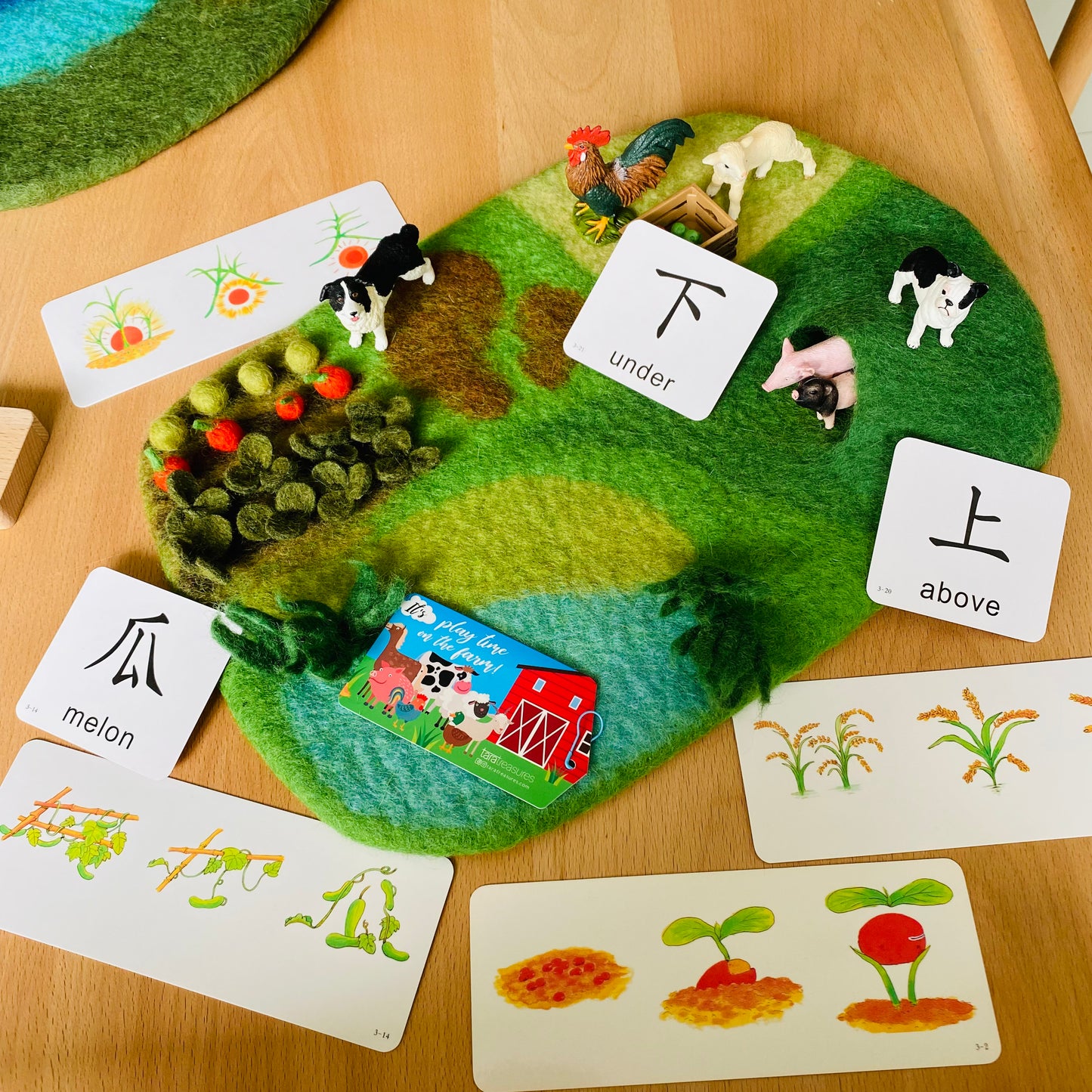 有趣的文字(字卡+字袋+套書)