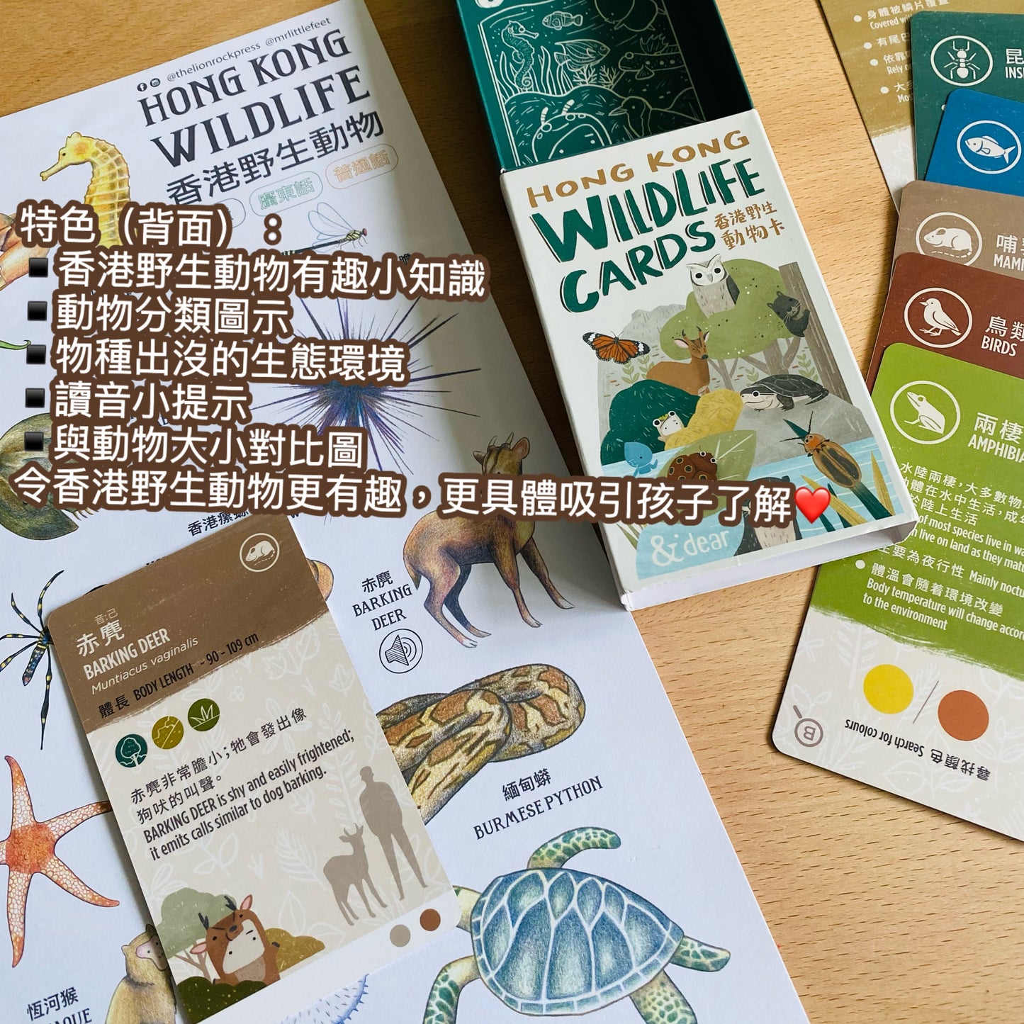 香港野生動物卡 Hong Kong Wildlife Cards(中英對照)