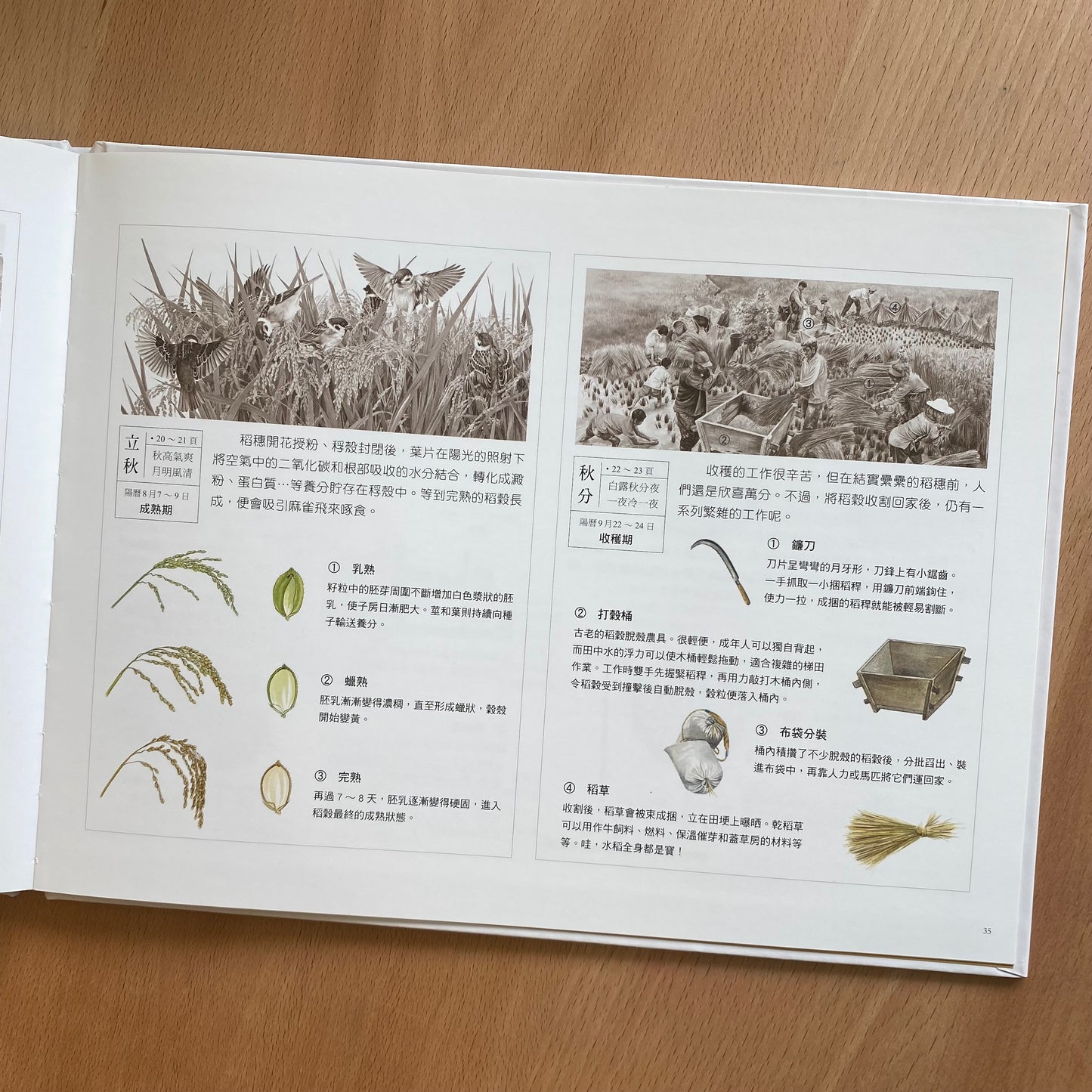 《盤中餐》憫農詩的延伸閱讀活動書藉