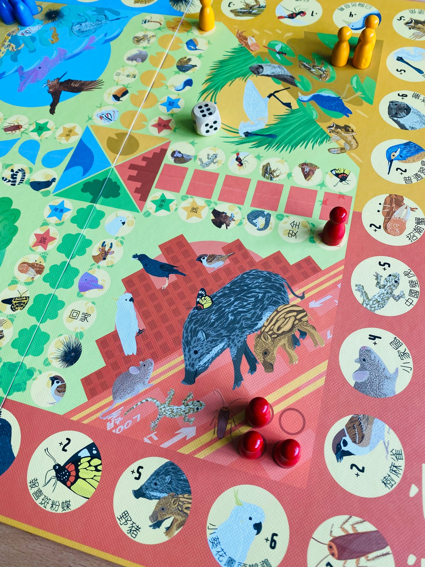 Hong Kong Habitat Ludo board game (Bilingual)