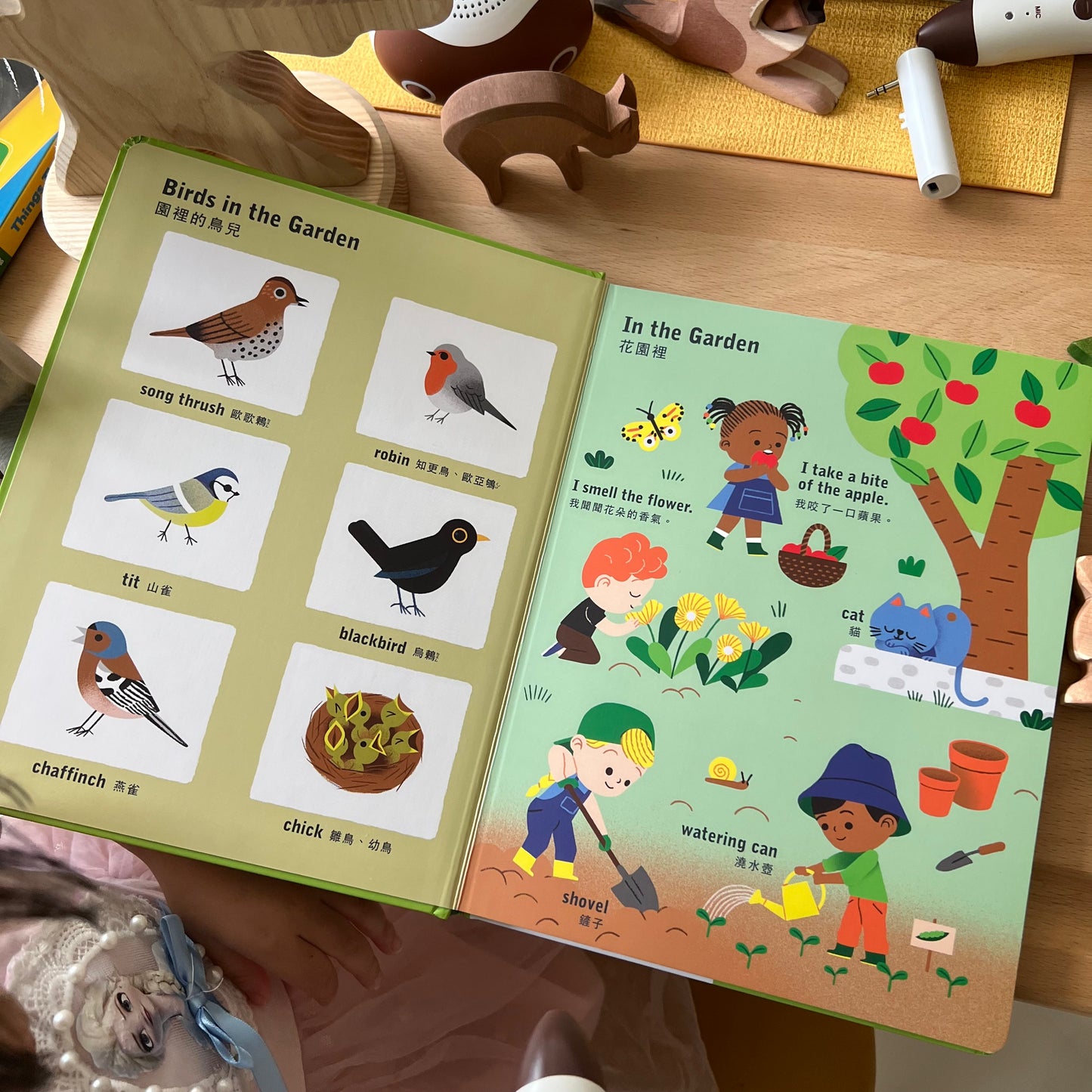 幼兒自然科普啟蒙套組(KIDsREAD 點讀版)更新版