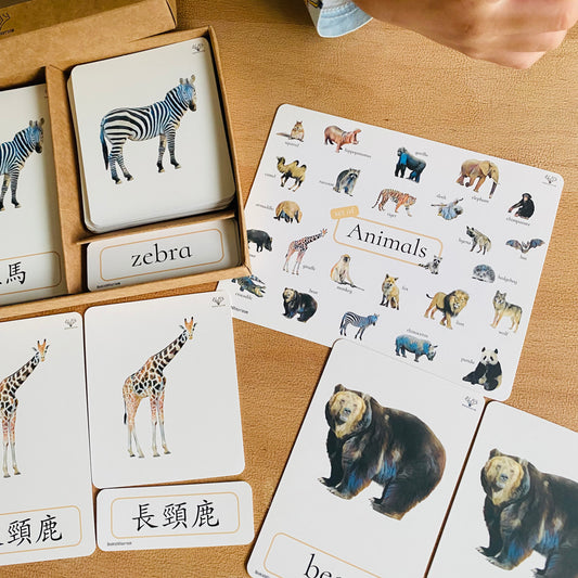 幼兒認知三部卡 (野生動物主題) 3 Part Cards (Animals)
