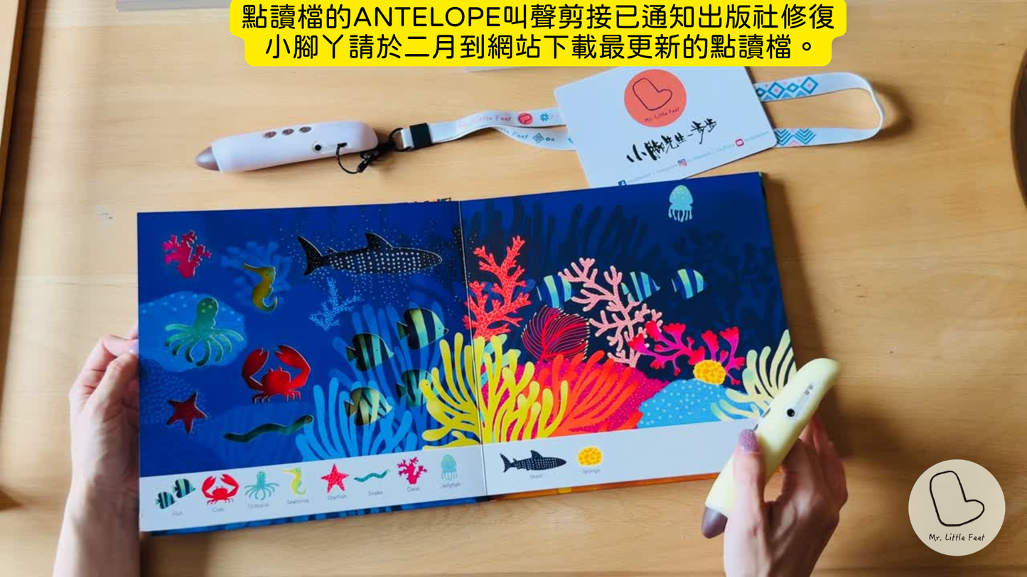 Oh! The Animals 絶美鏤空藝術繪本