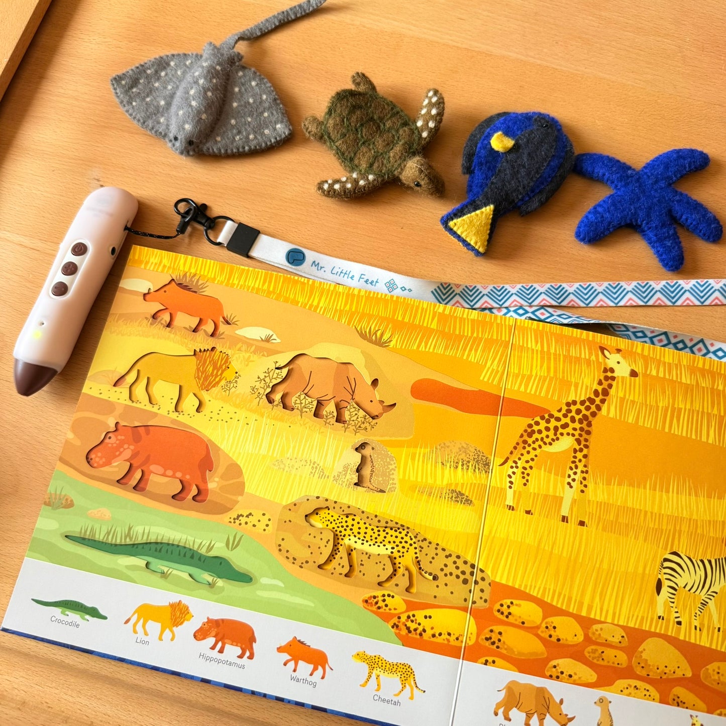 Oh! The Animals 絶美鏤空藝術繪本