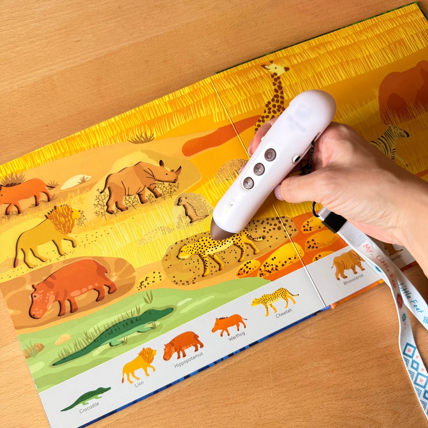 Oh! The Animals 絶美鏤空藝術繪本