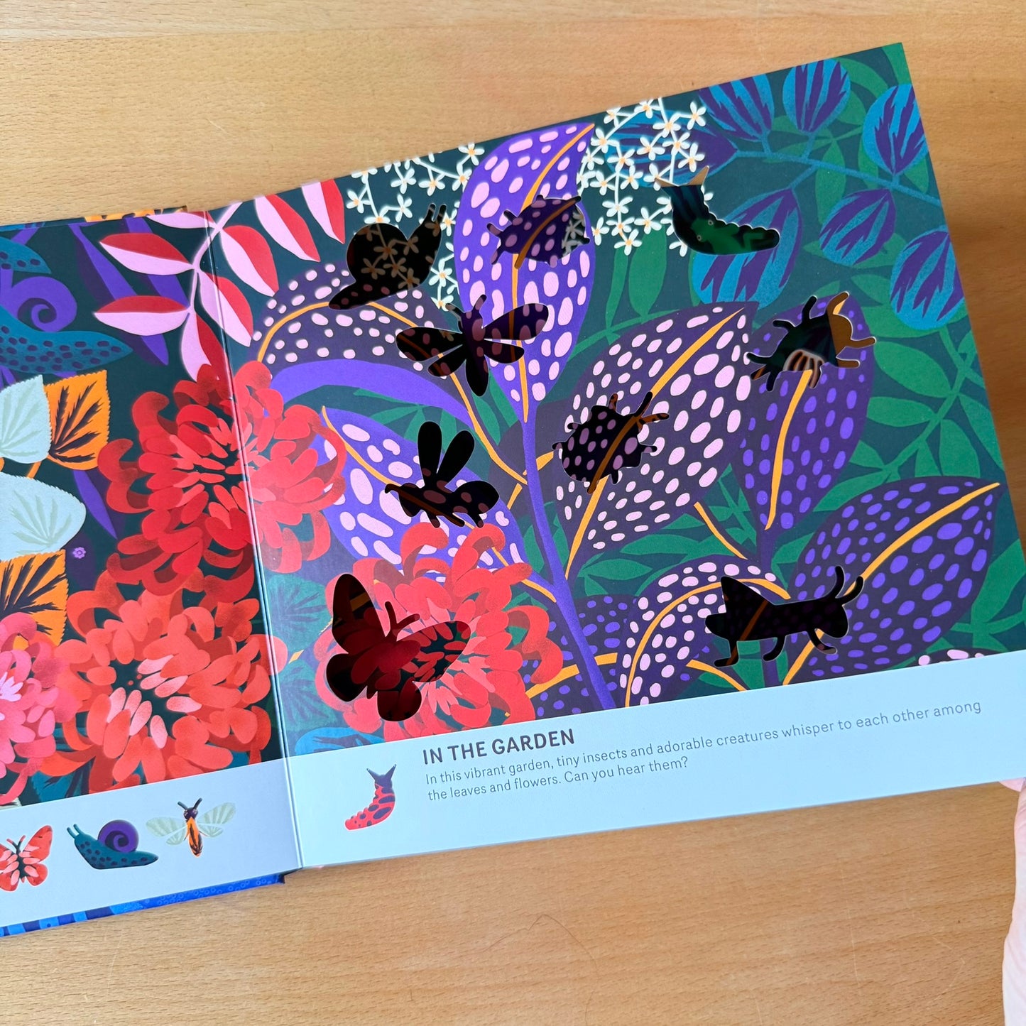 Oh! The Animals 絶美鏤空藝術繪本