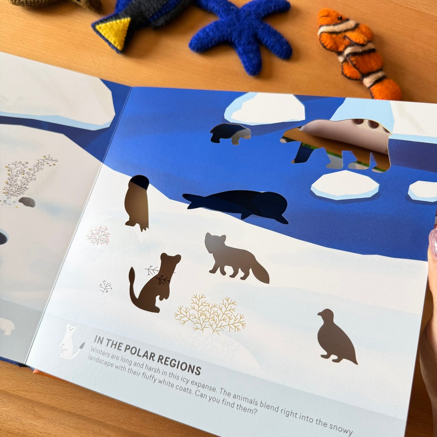 Oh! The Animals 絶美鏤空藝術繪本