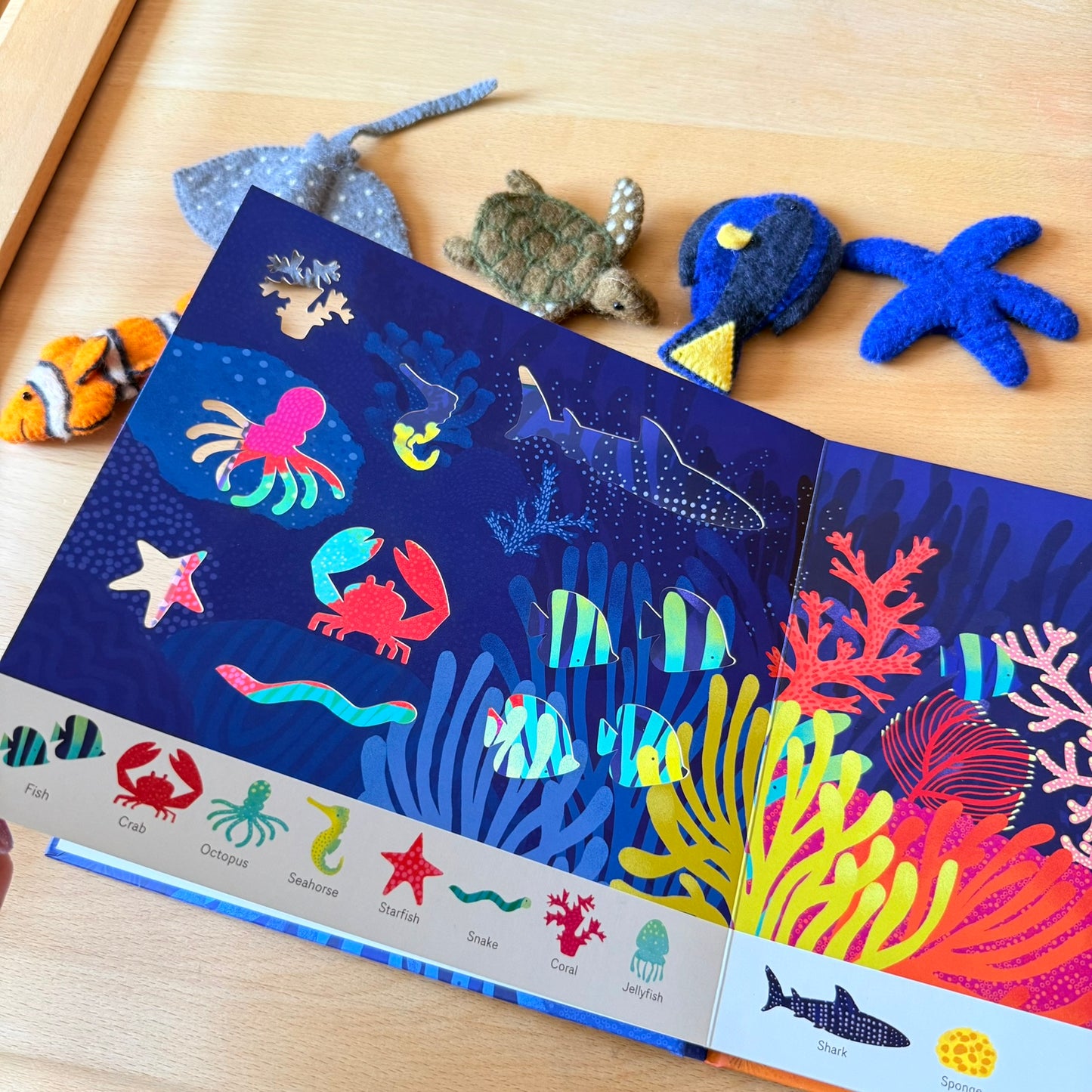 Oh! The Animals 絶美鏤空藝術繪本