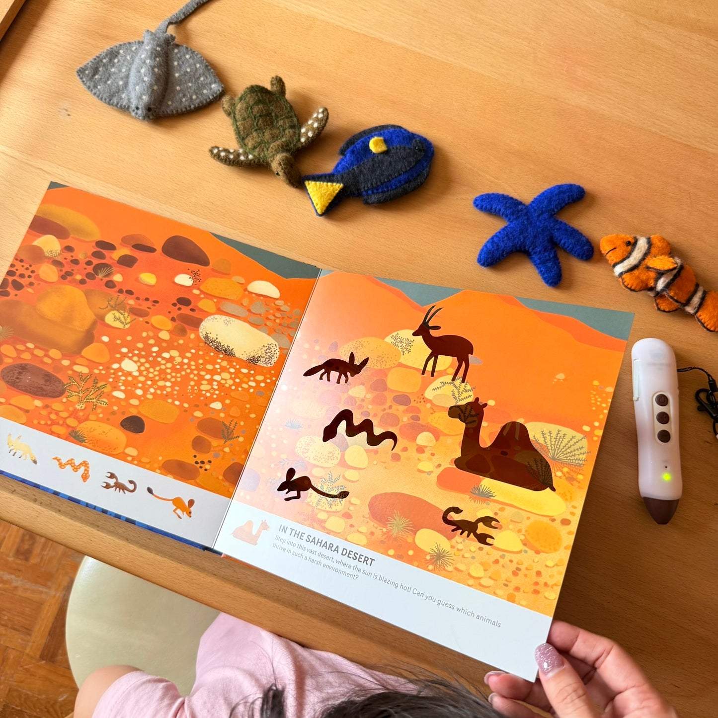 Oh! The Animals 絶美鏤空藝術繪本