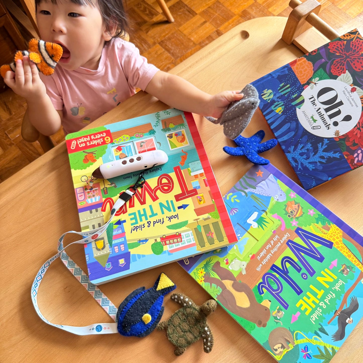 Look, find & slide! 躲貓貓滑塊遊戲書