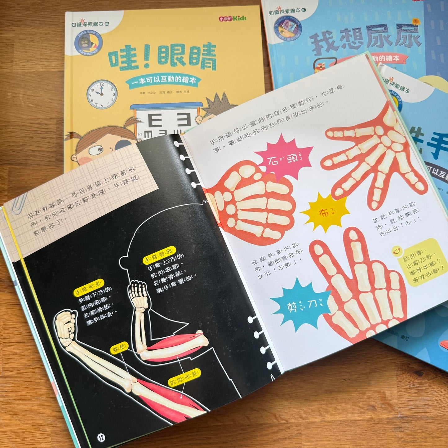 康軒學習雜誌 - 學前版  (2026年3月優惠團)