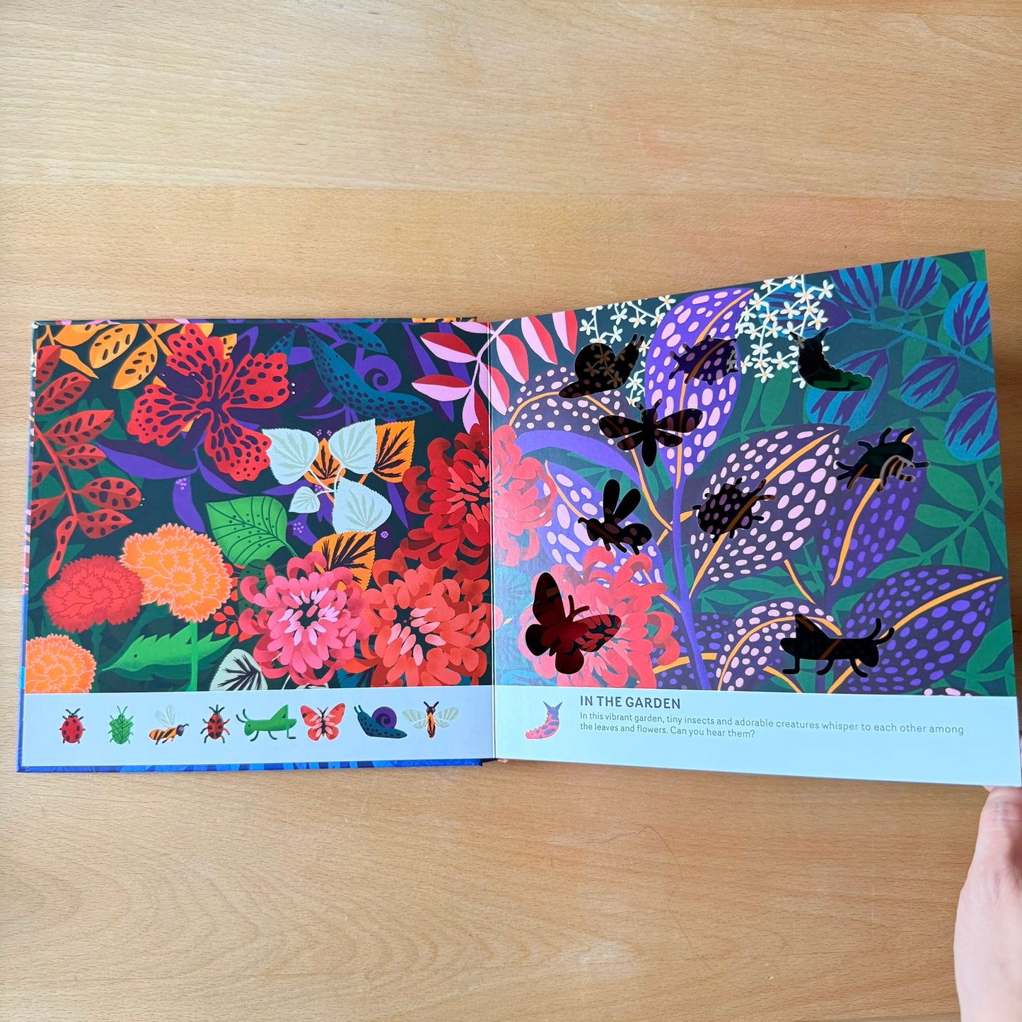 Oh! The Animals 絶美鏤空藝術繪本