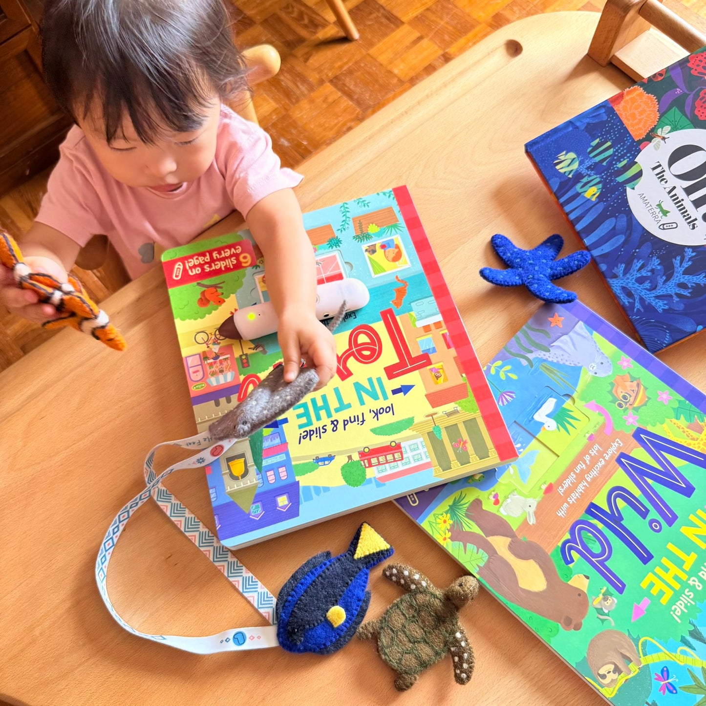 Look, find & slide! 躲貓貓滑塊遊戲書