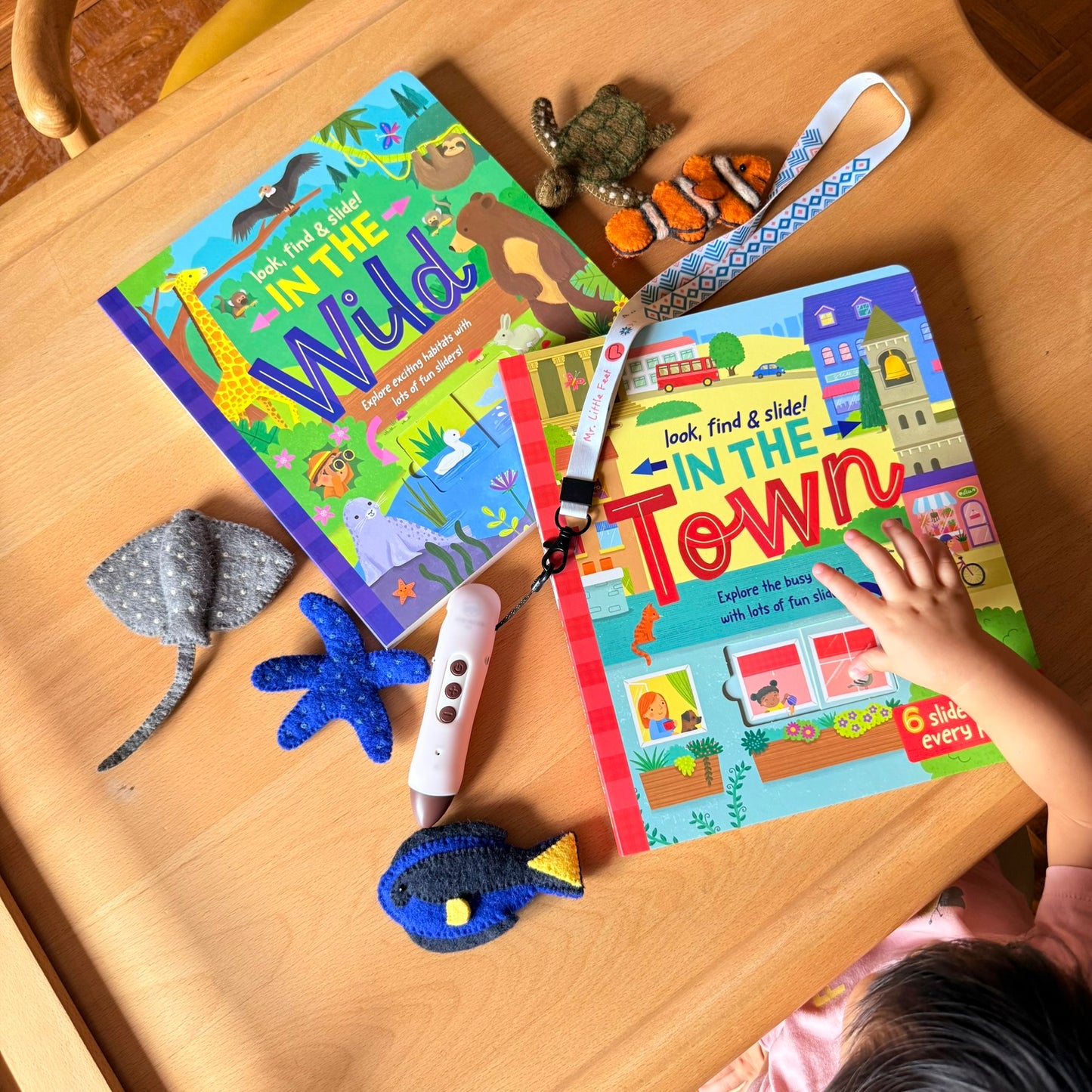 Look, find & slide! 躲貓貓滑塊遊戲書