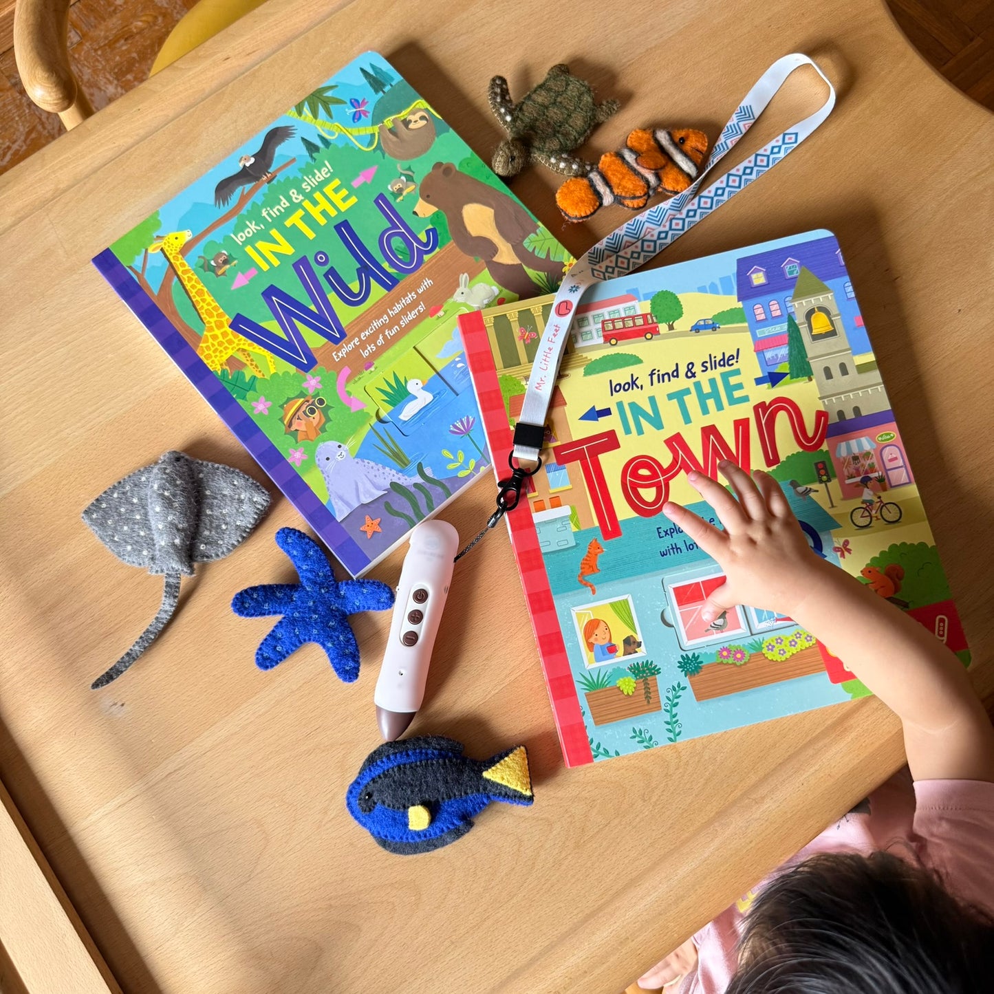 Look, find & slide! 躲貓貓滑塊遊戲書