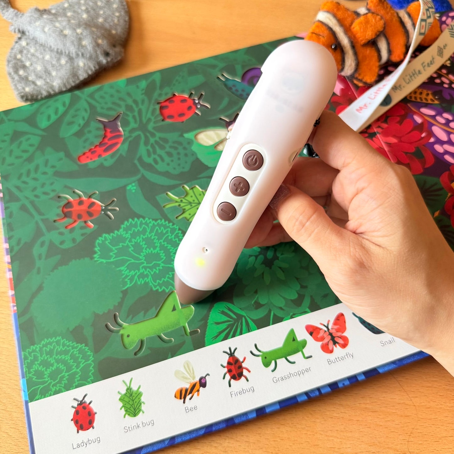 Oh! The Animals 絶美鏤空藝術繪本