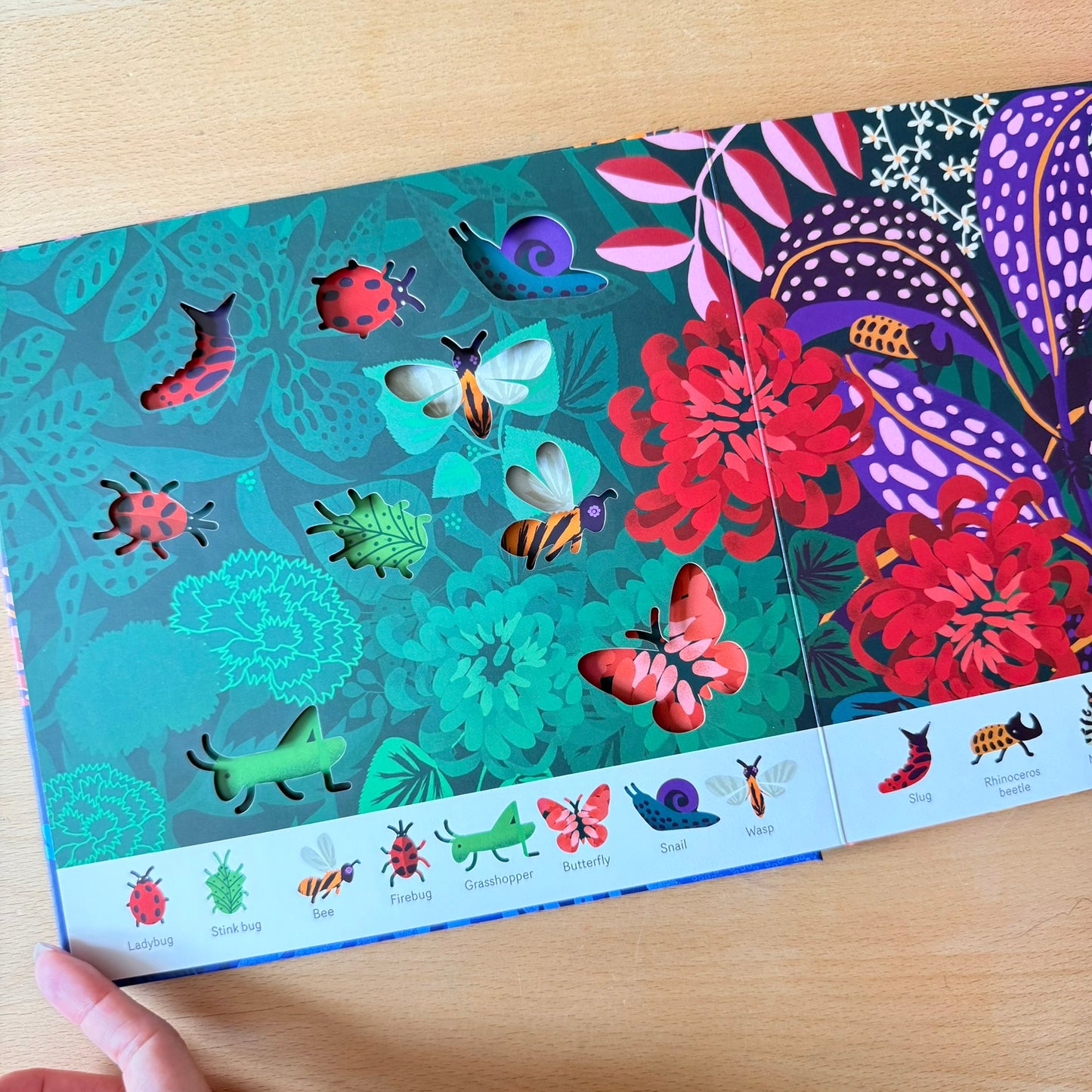 Oh! The Animals 絶美鏤空藝術繪本