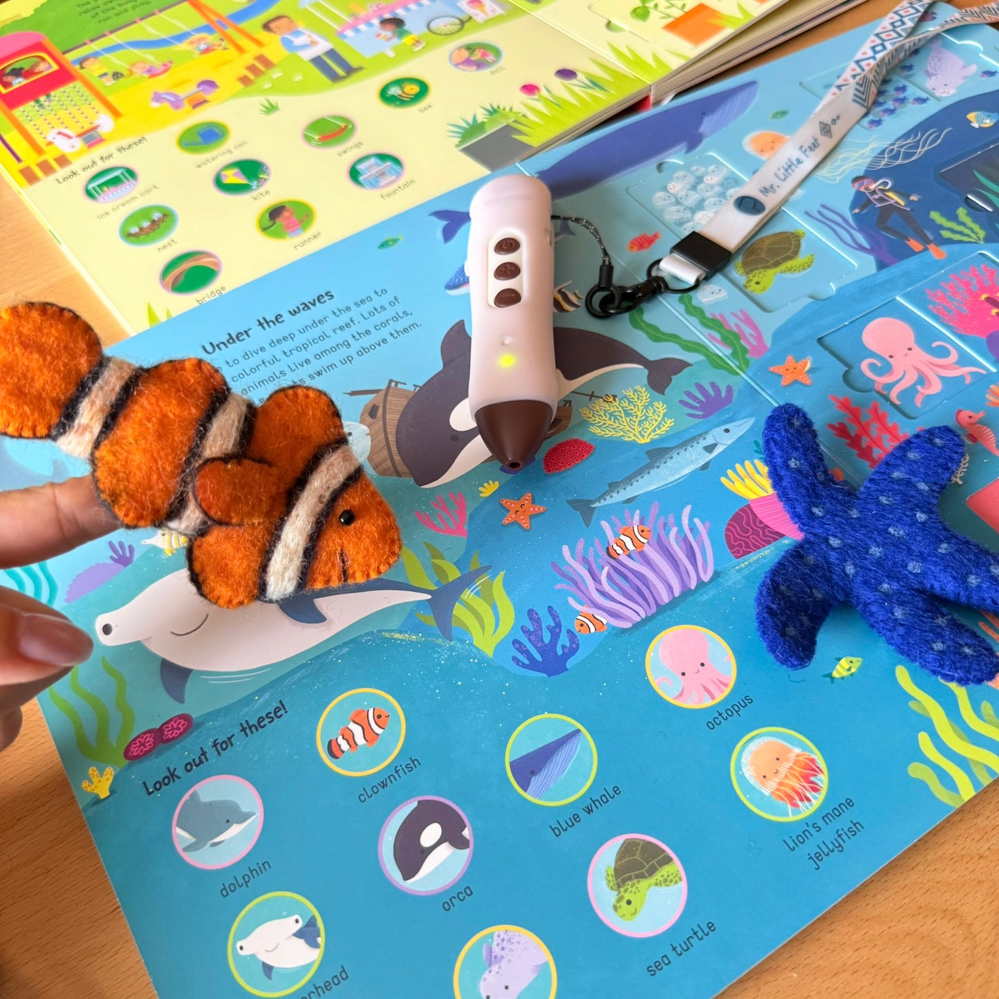 Look, find & slide! 躲貓貓滑塊遊戲書