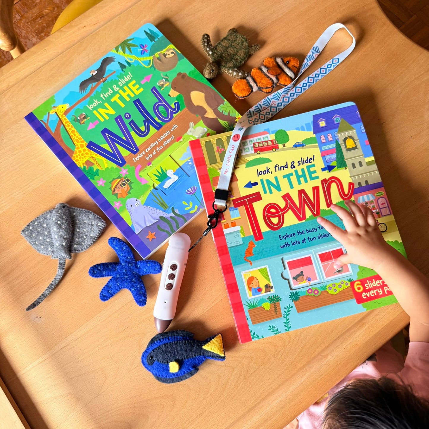 Look, find & slide! 躲貓貓滑塊遊戲書