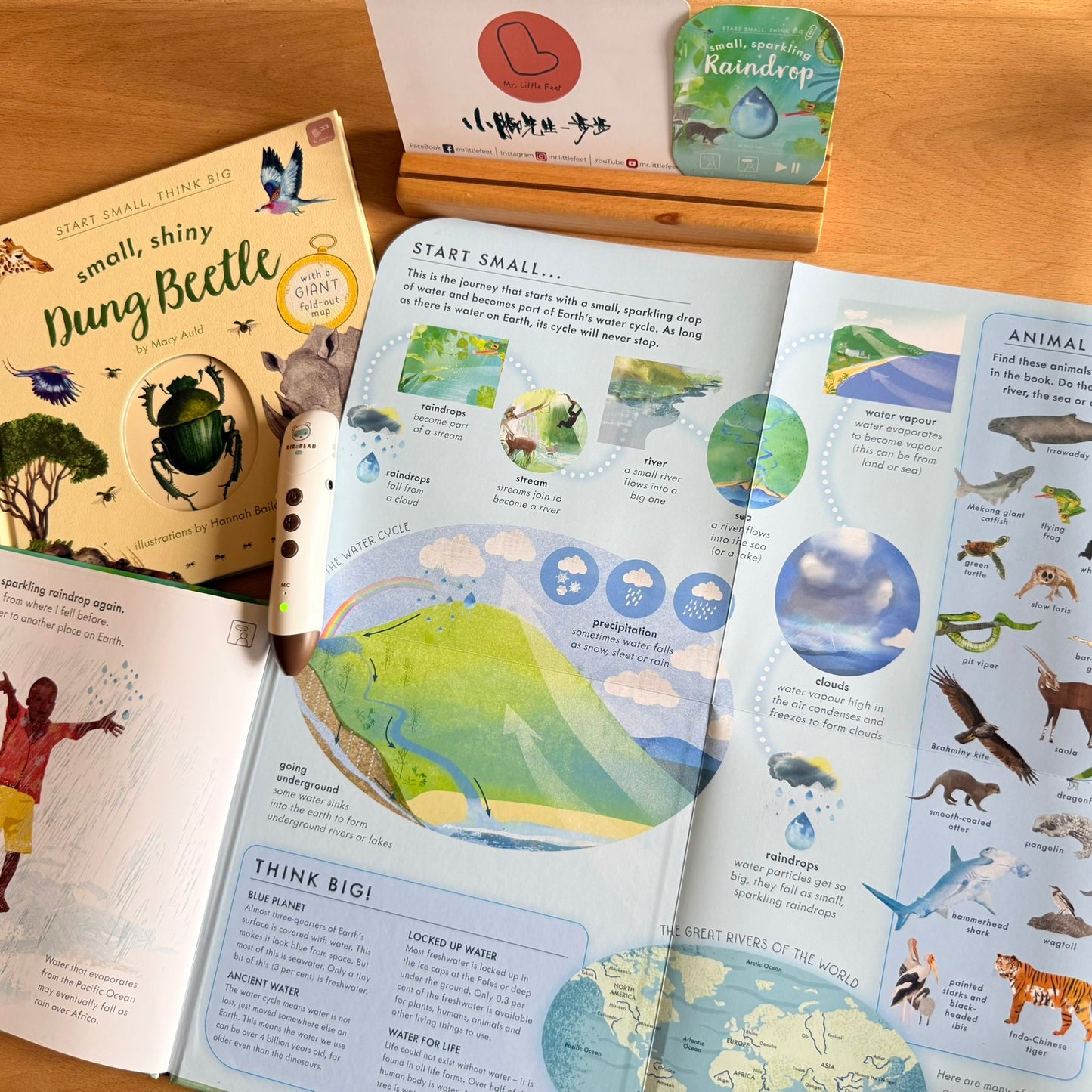 Start Small, Think Big 科普點讀書 (Raindrop / Dung Beetle)【小腳先生獨家送廣東話點讀貼紙#21-23及點讀學習單】