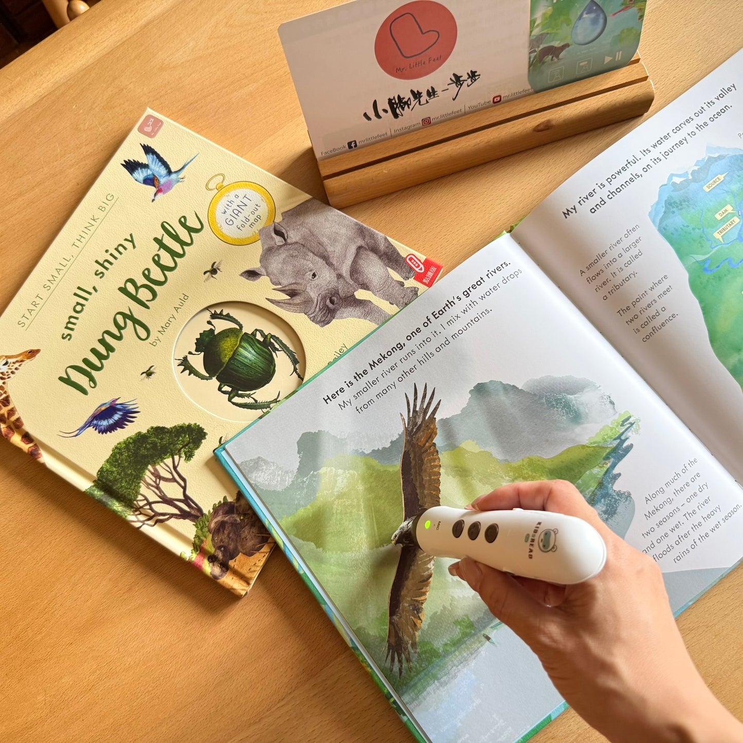 Start Small, Think Big 科普點讀書 (Raindrop / Dung Beetle)【小腳先生獨家送廣東話點讀貼紙#21-23及點讀學習單】