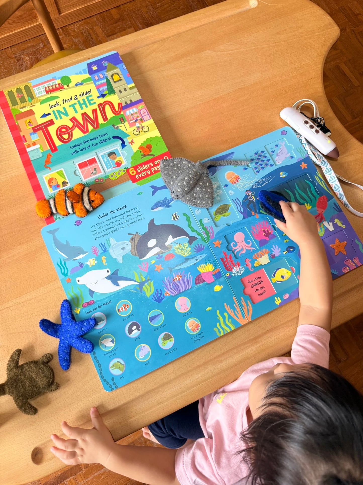 Look, find & slide! 躲貓貓滑塊遊戲書