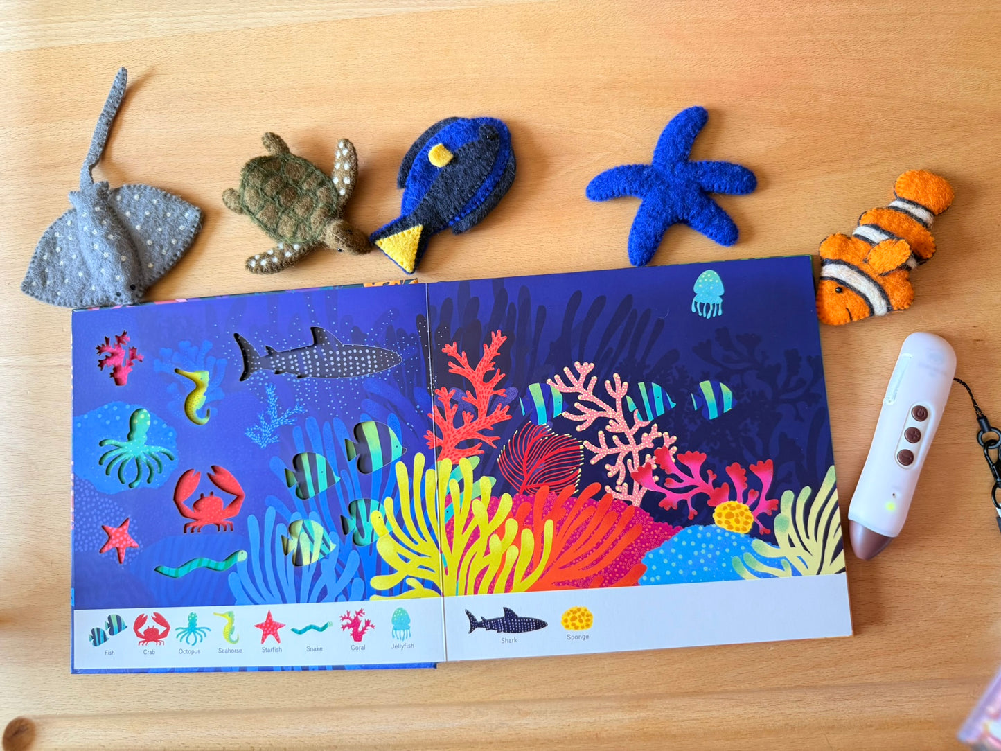 Oh! The Animals 絶美鏤空藝術繪本