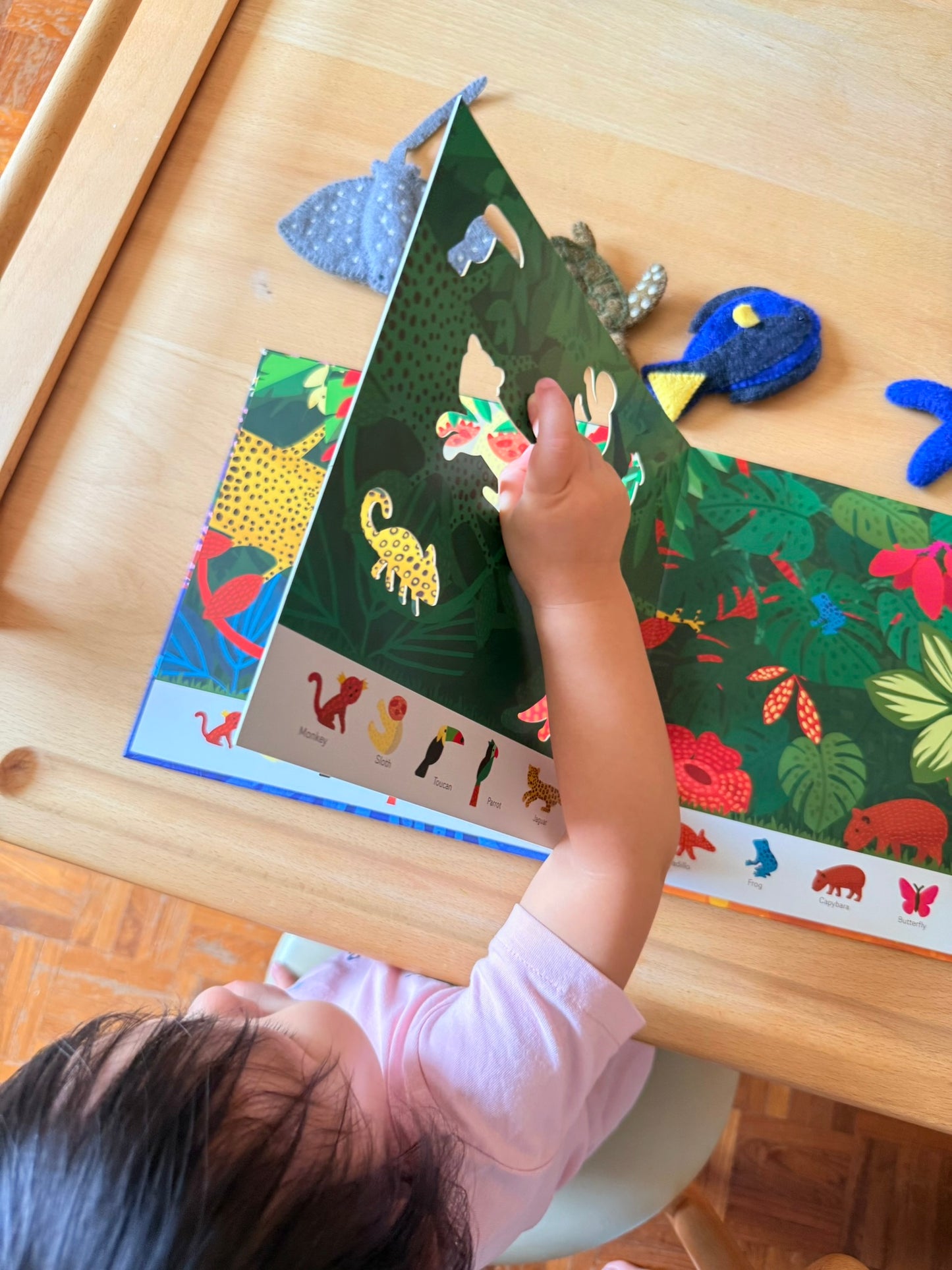 Oh! The Animals 絶美鏤空藝術繪本