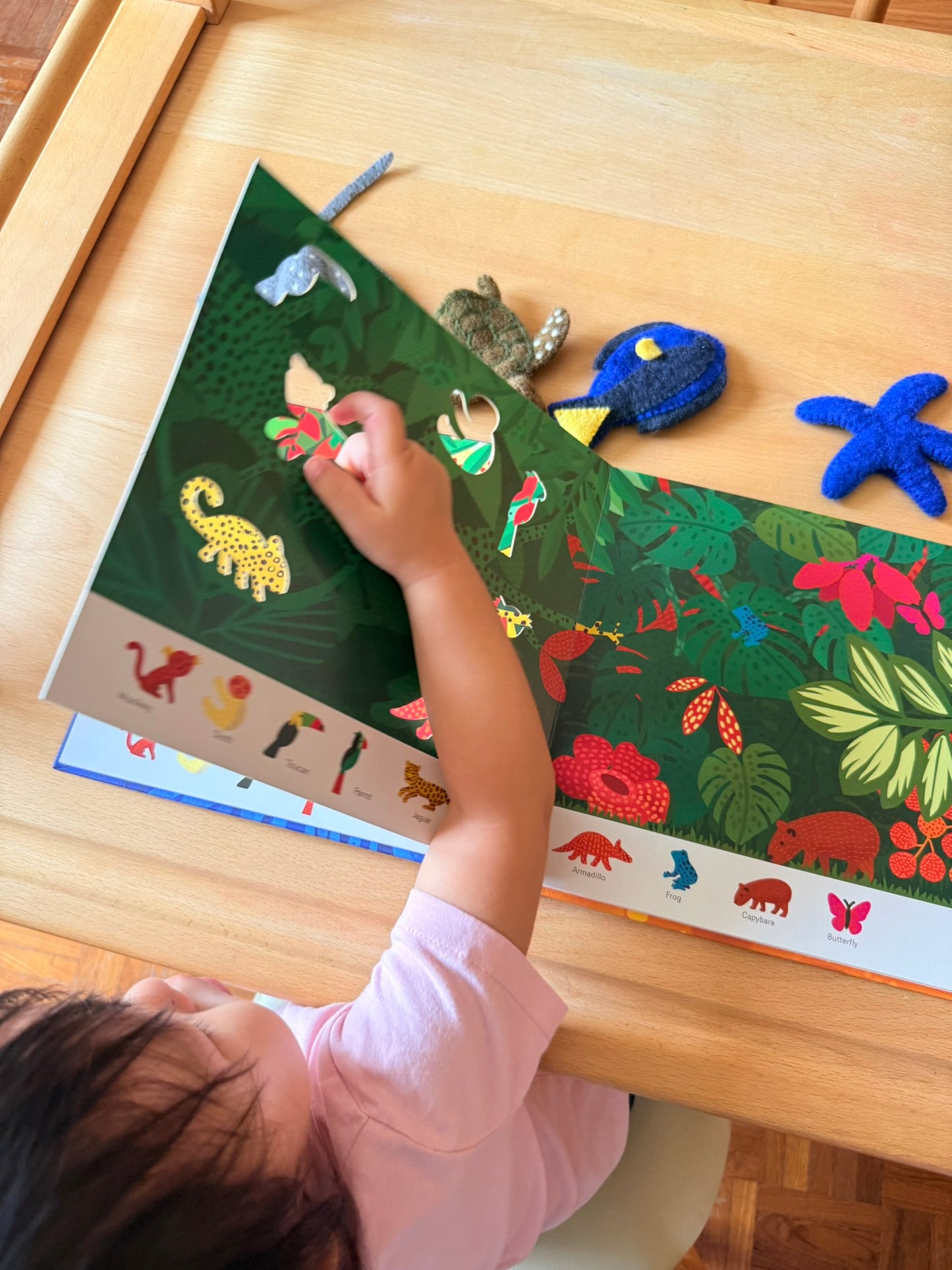 Oh! The Animals 絶美鏤空藝術繪本